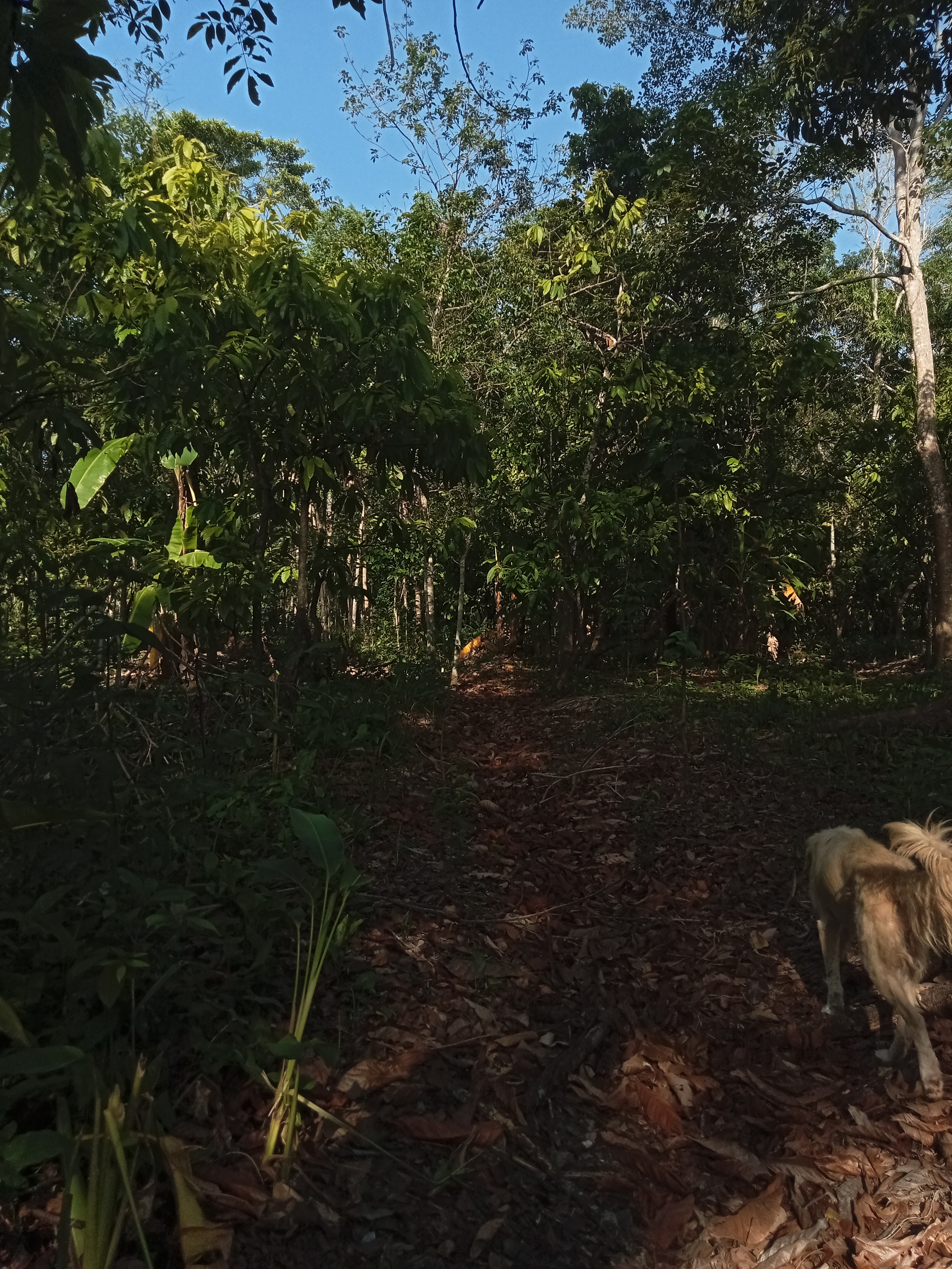 Nilida de la Cruz de la Cruz image 2