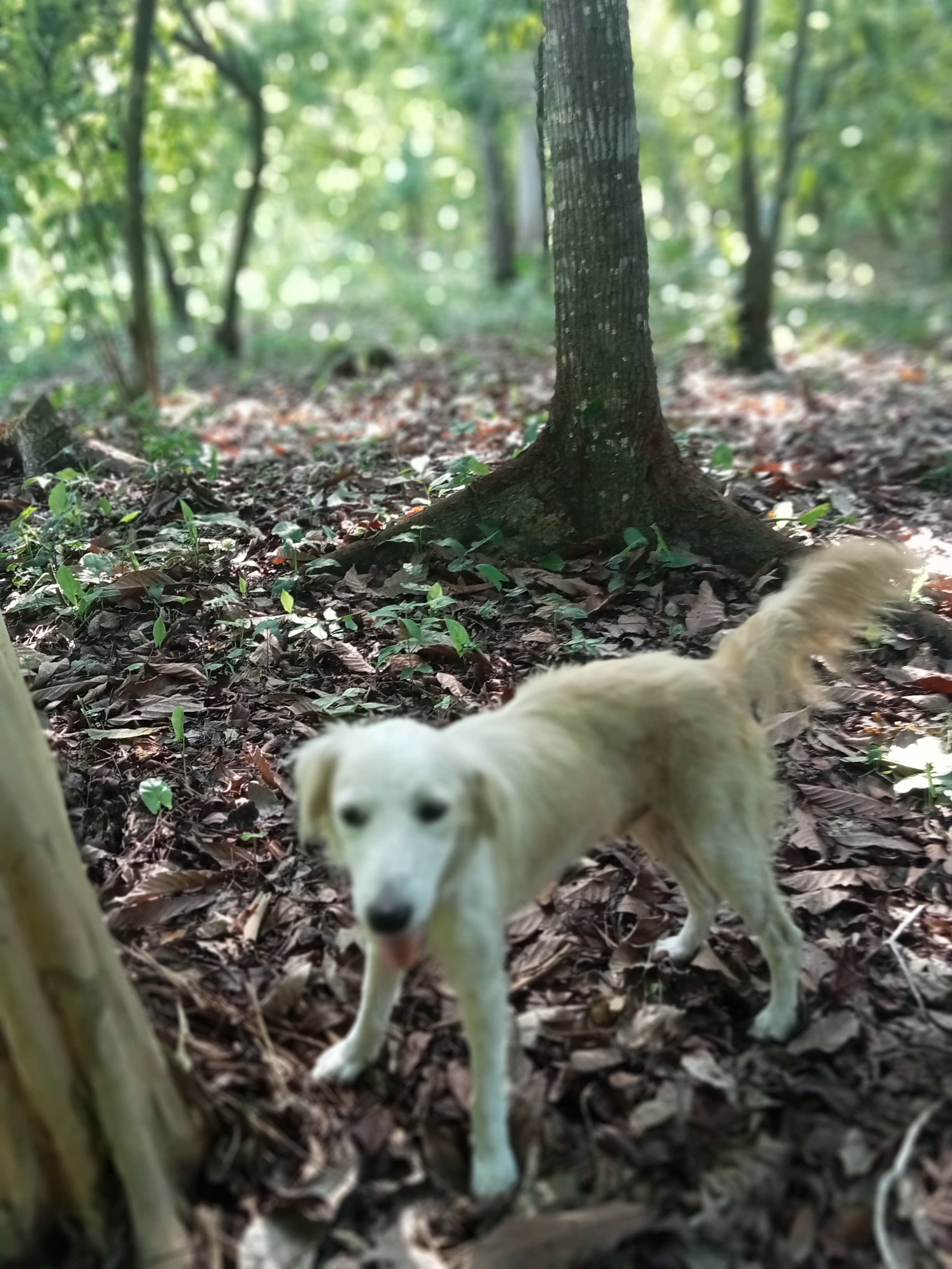 Nilida de la Cruz de la Cruz image 3