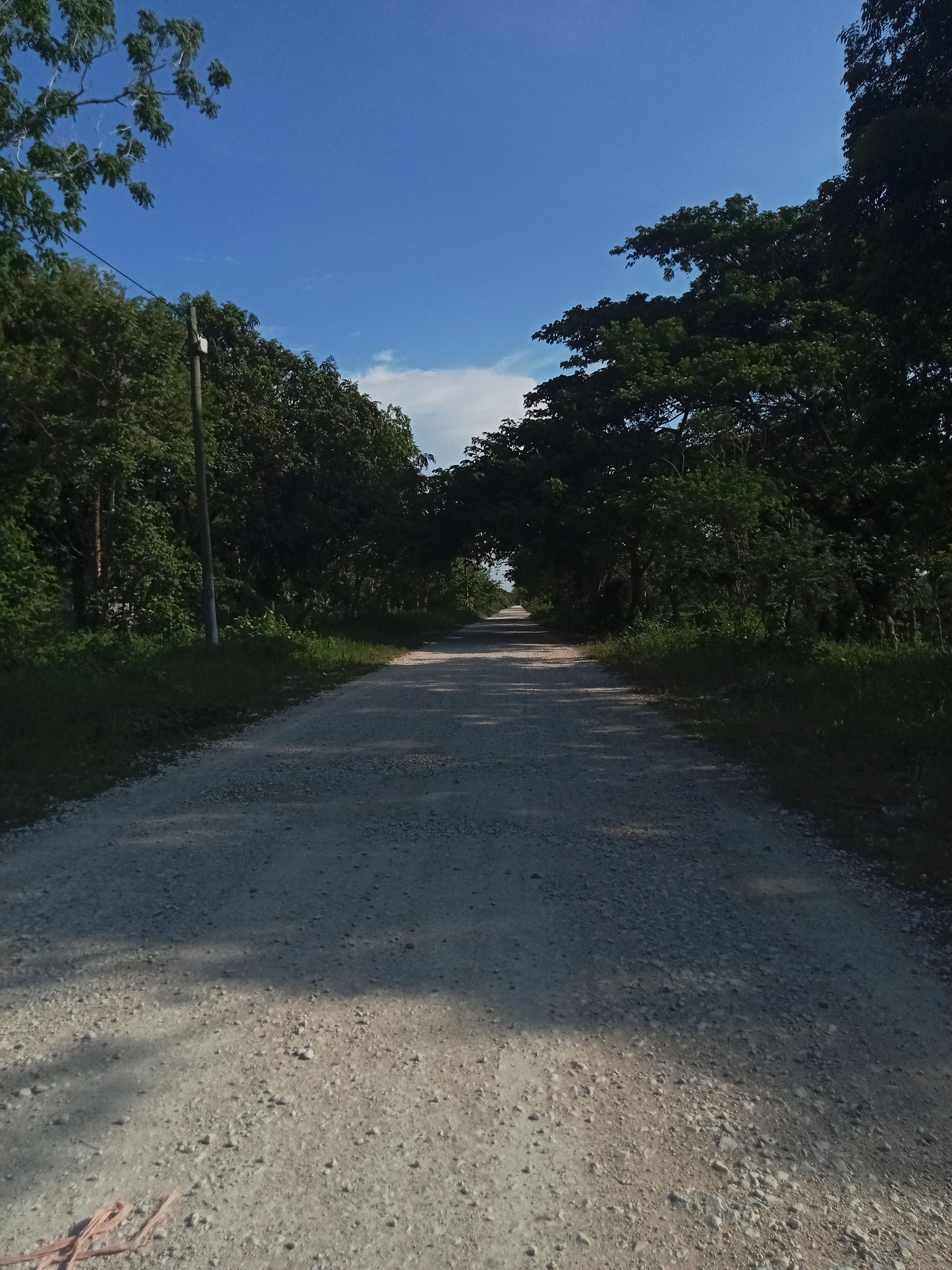 Nilida de la Cruz de la Cruz image 4