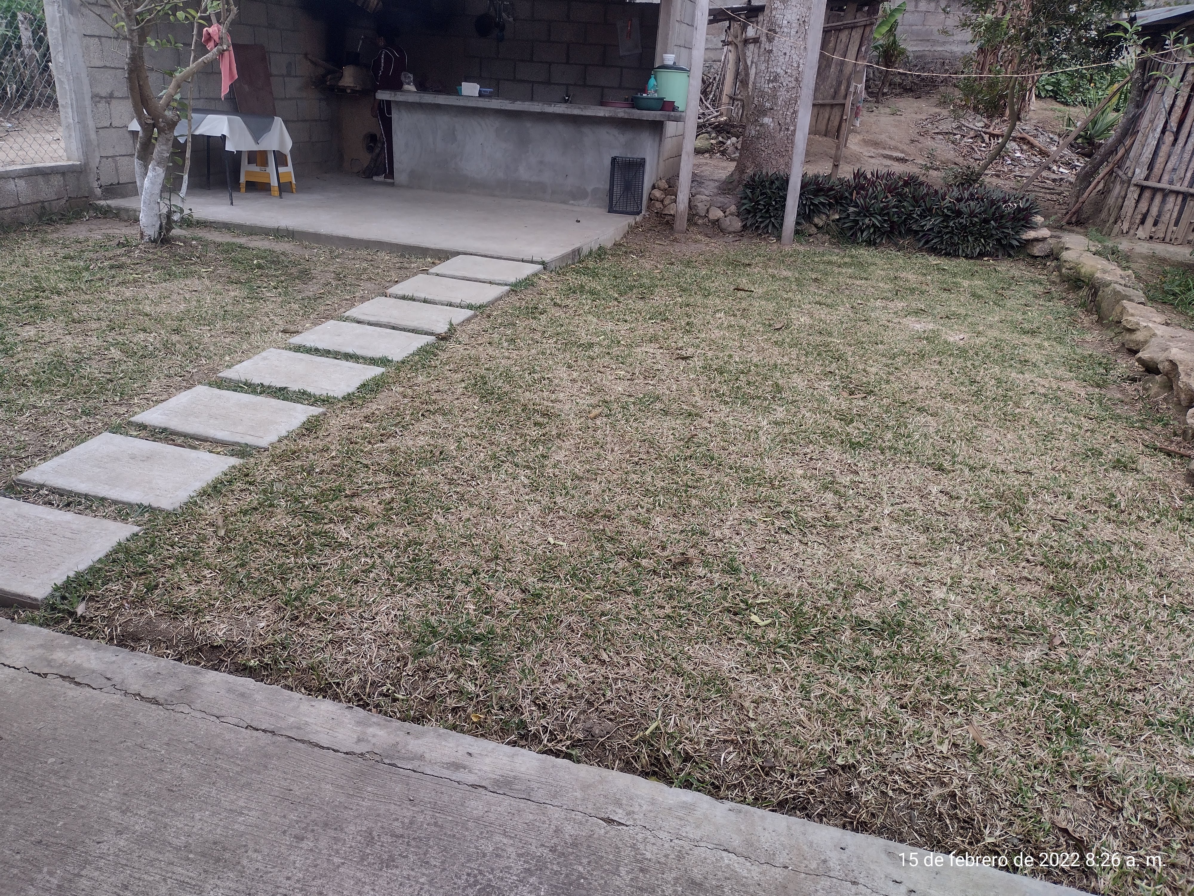 Esquina el coyote image 2