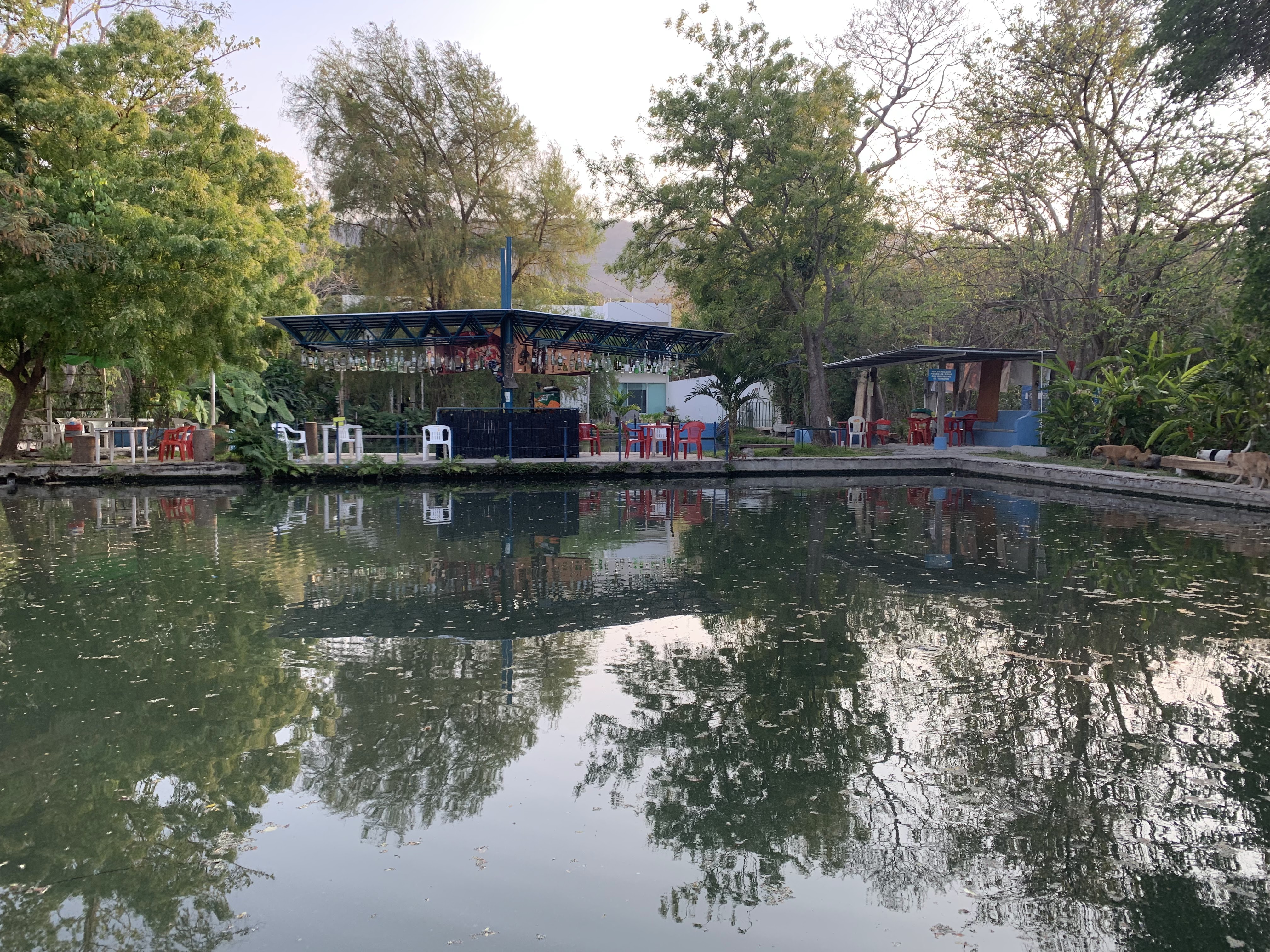 El Peje de Oro image 2