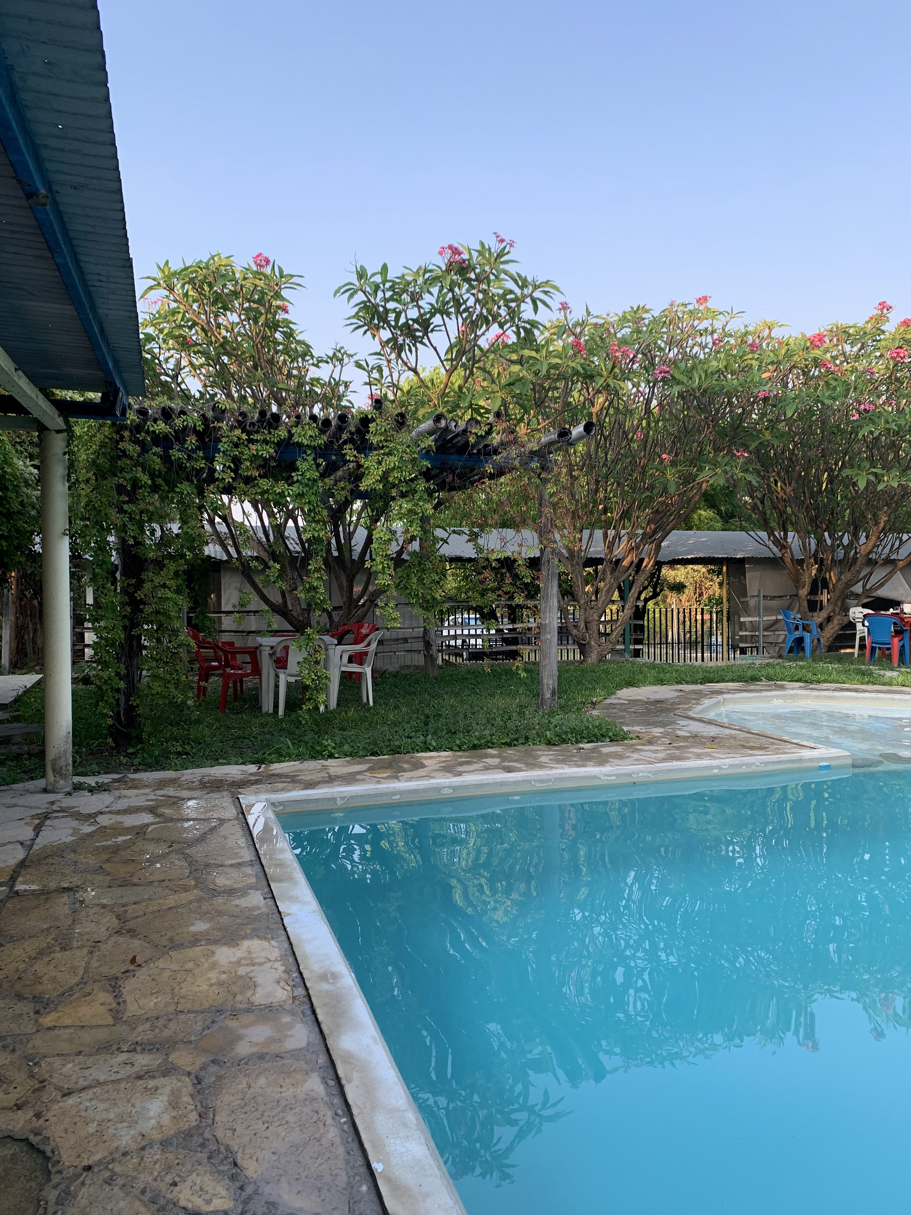 El Peje de Oro image 3