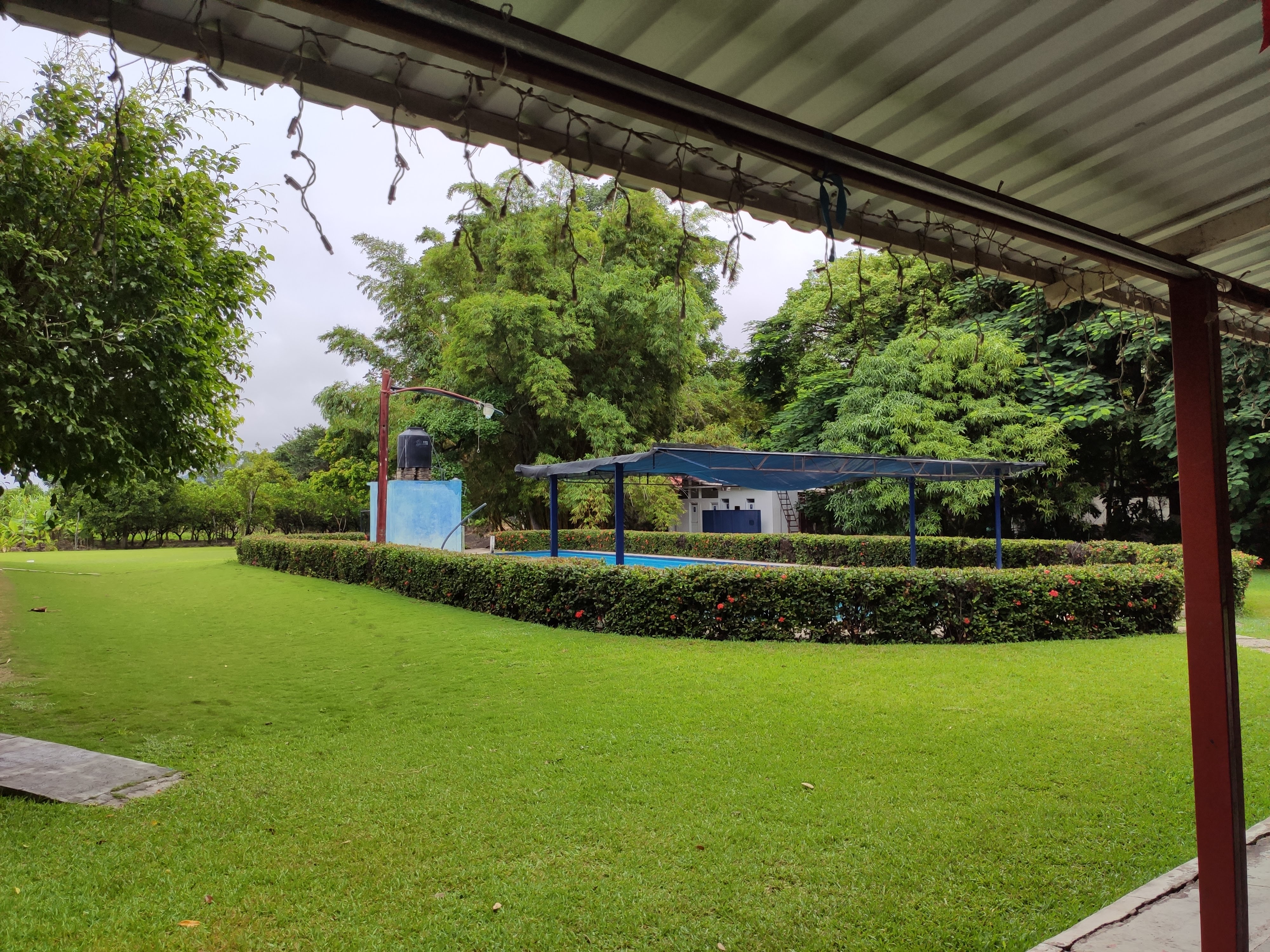 El Peje de Oro image 5