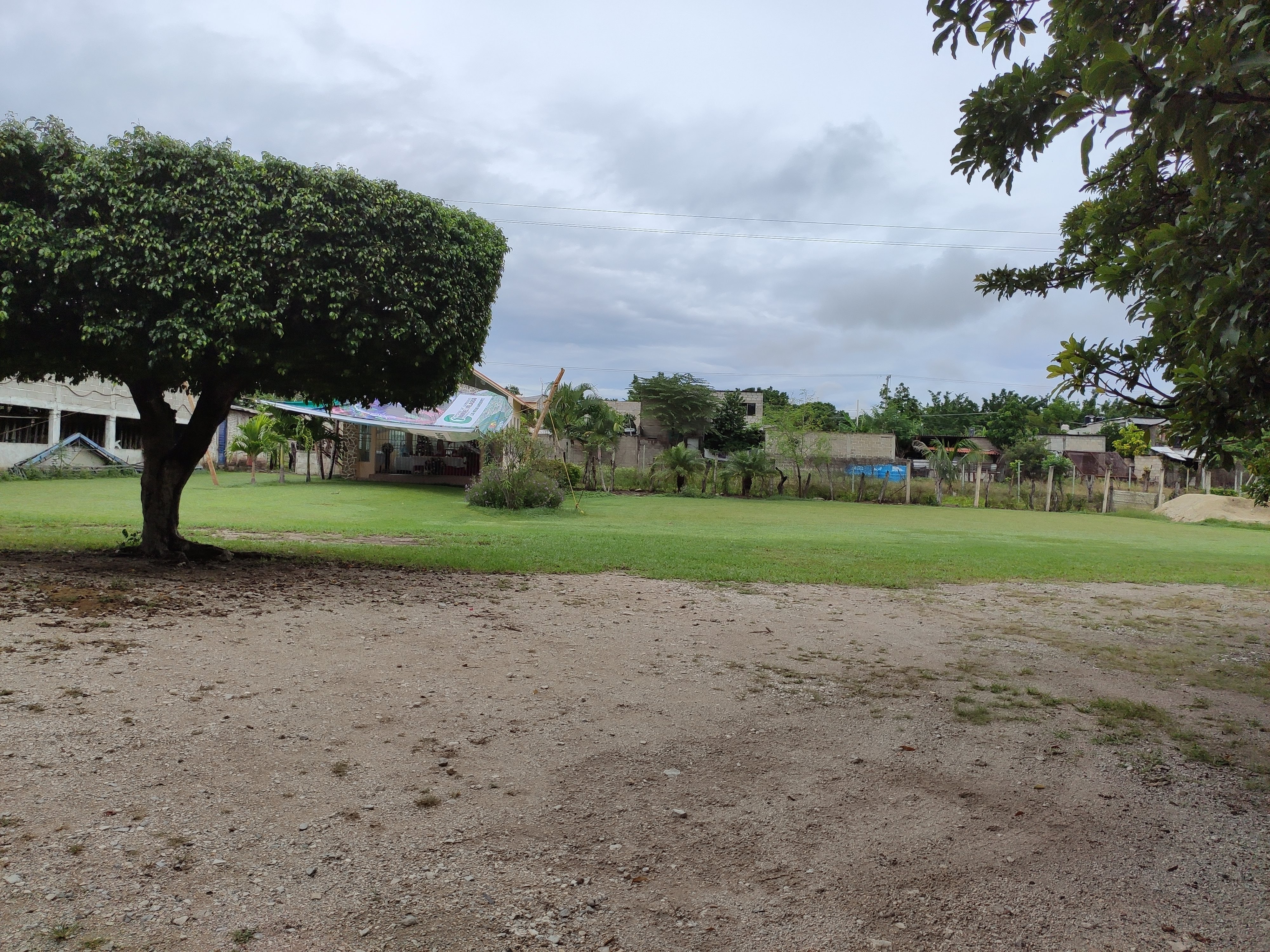 El Peje de Oro image 6