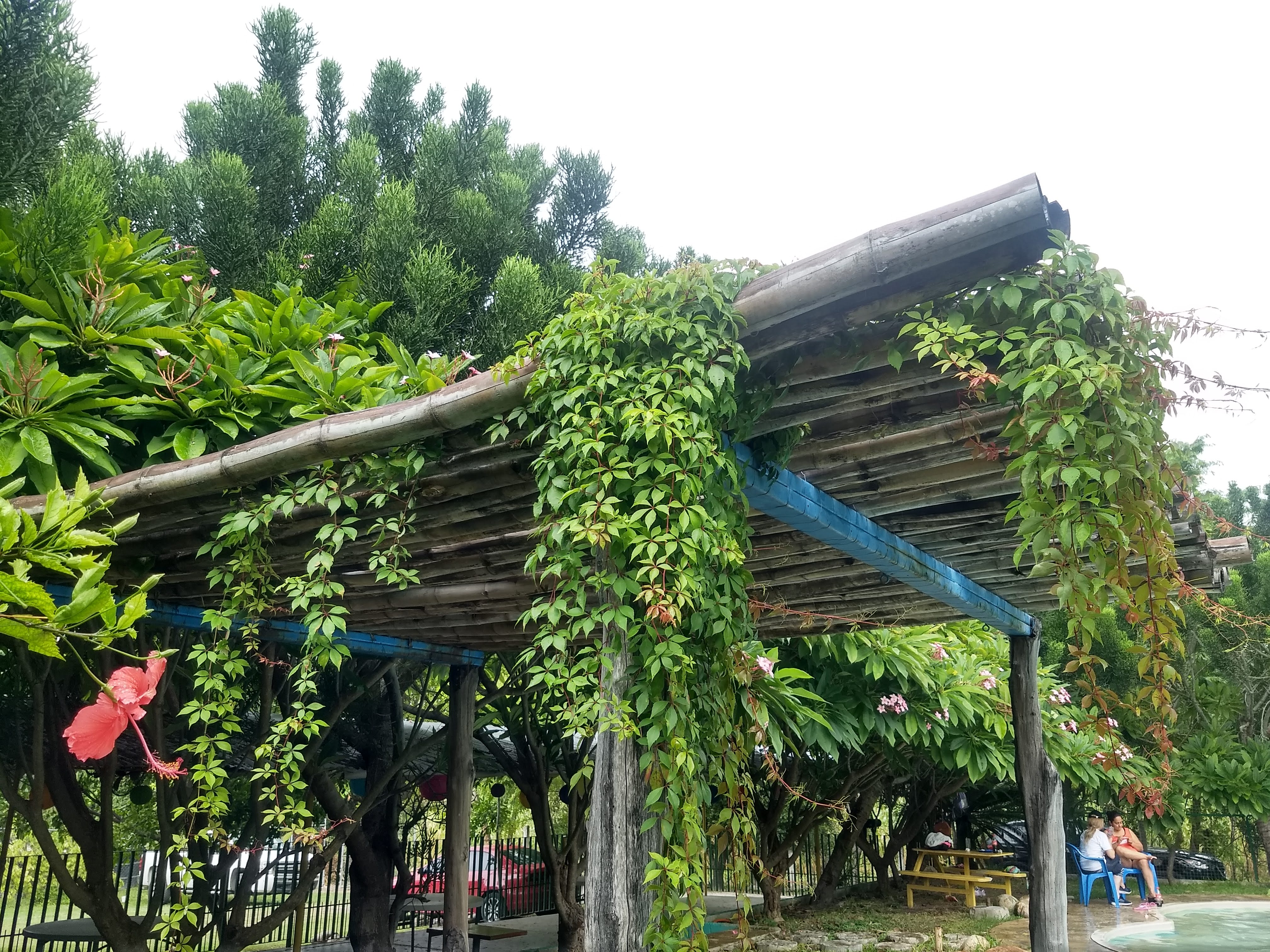 El Peje de Oro image 7