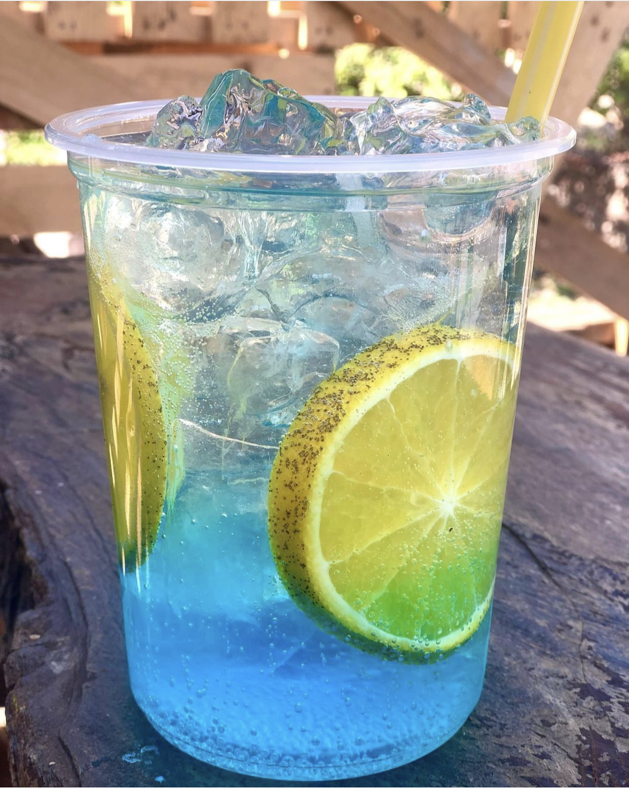 LA PANCHA-Miches & Aguachiles image 3