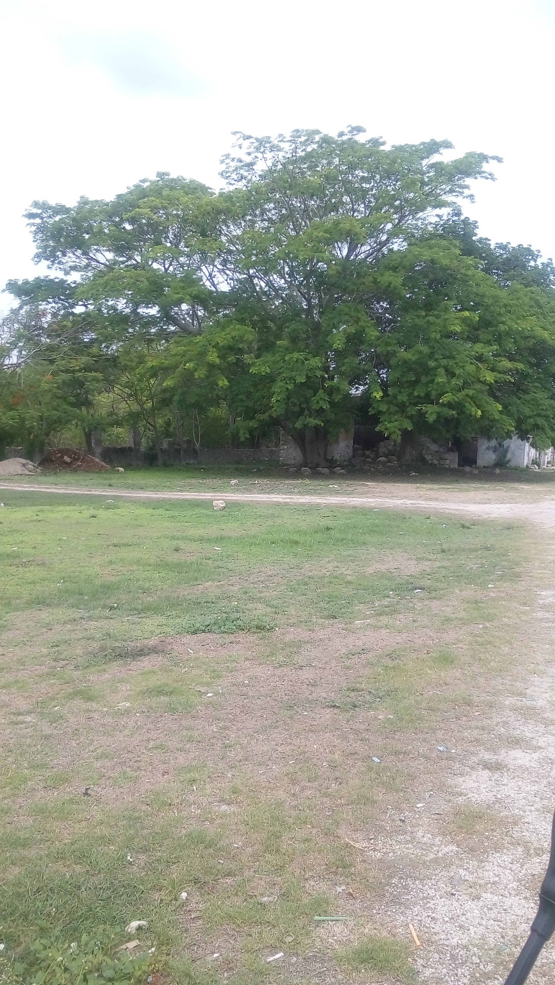 Pizzeria La Favorita De Oxcum image 4