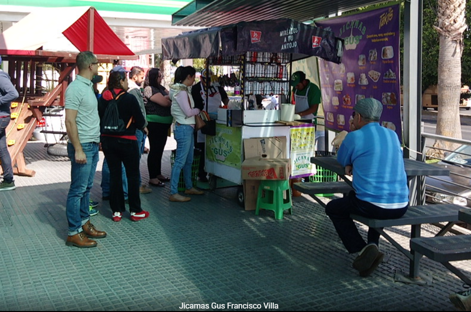 Jicamas de León Francisco Villa 450 image 6