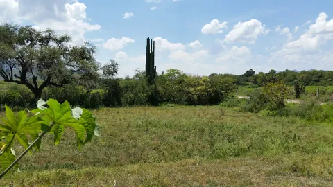 Jarros Montero image 3
