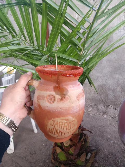 Jarros Montero image 5