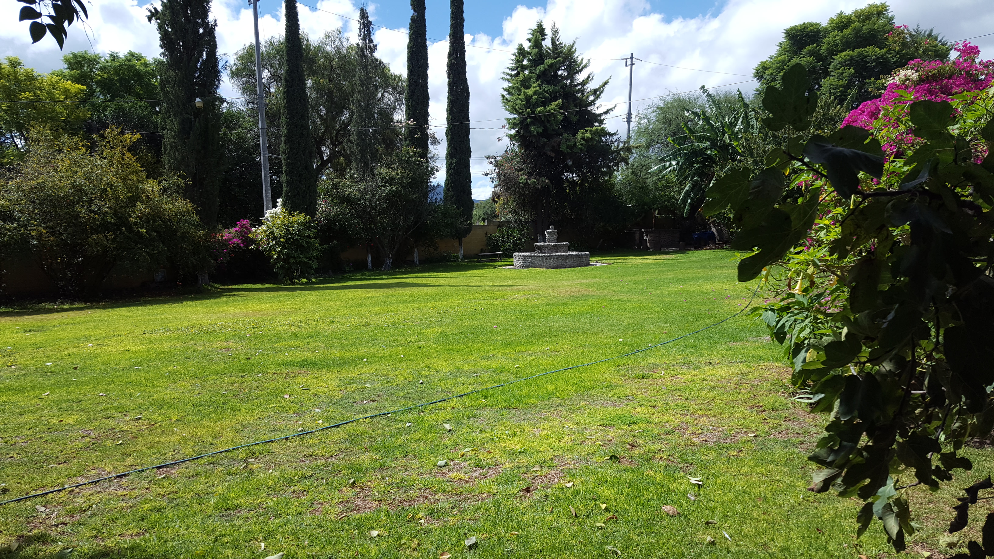 Café El Mezquite image 3