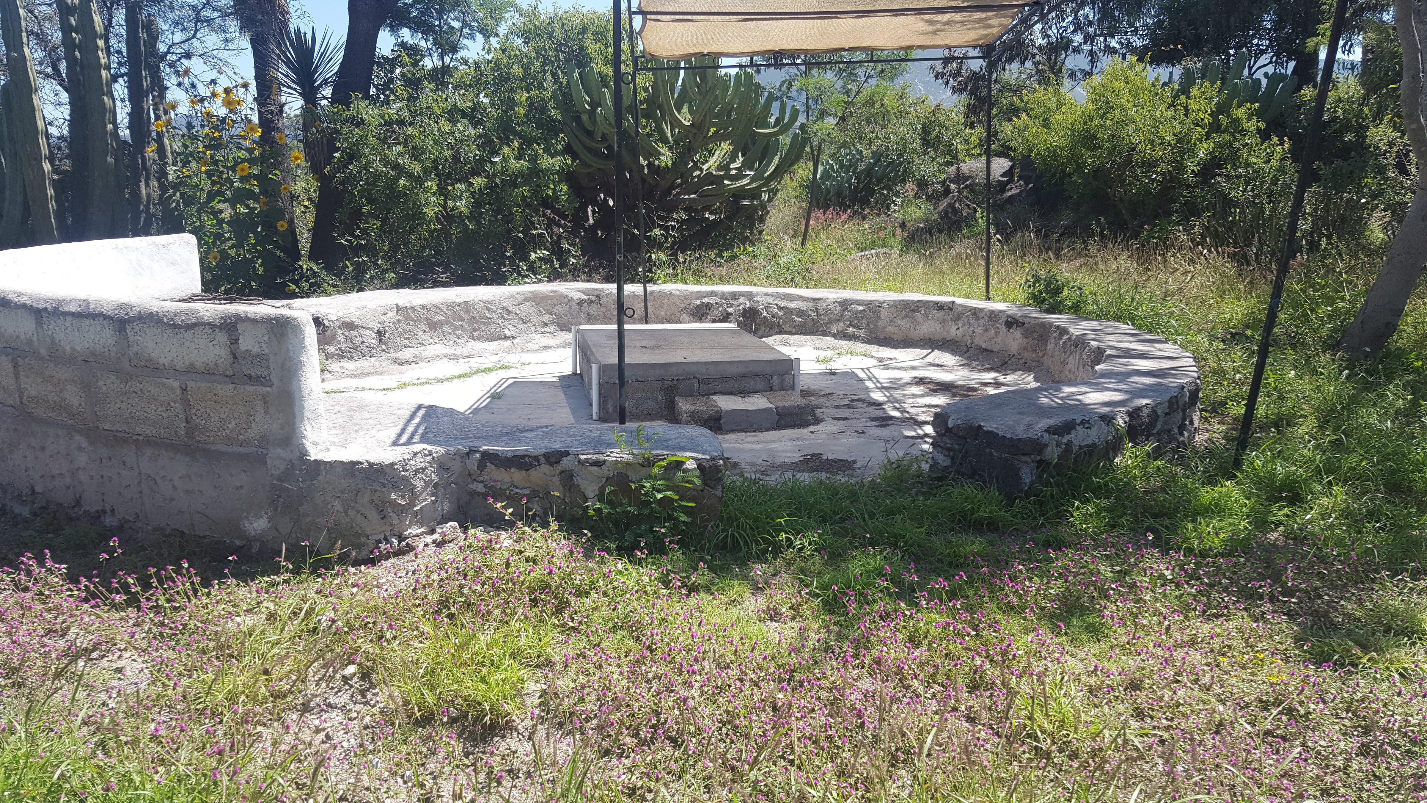 Café El Mezquite image 6