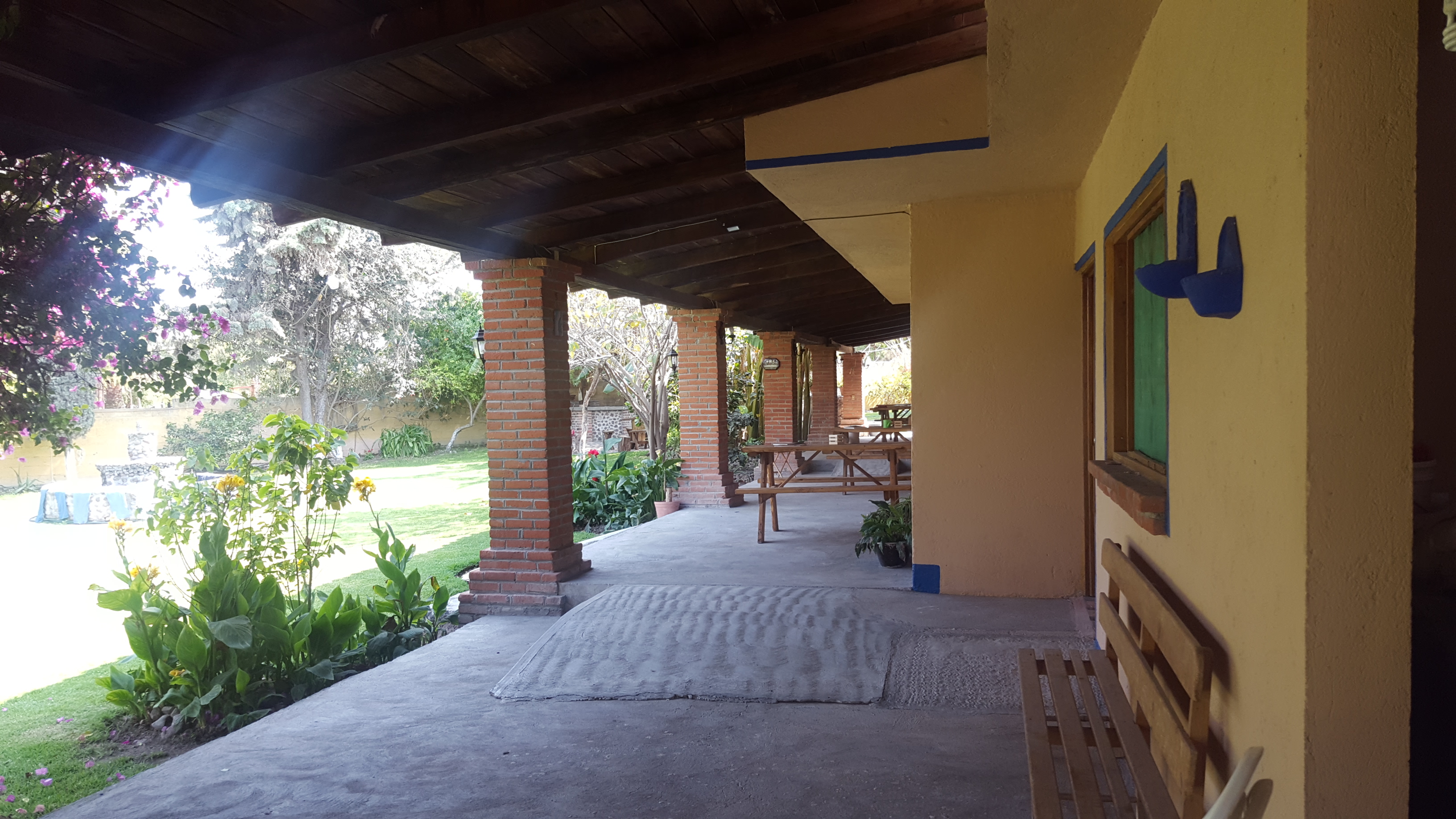 Café El Mezquite image 9