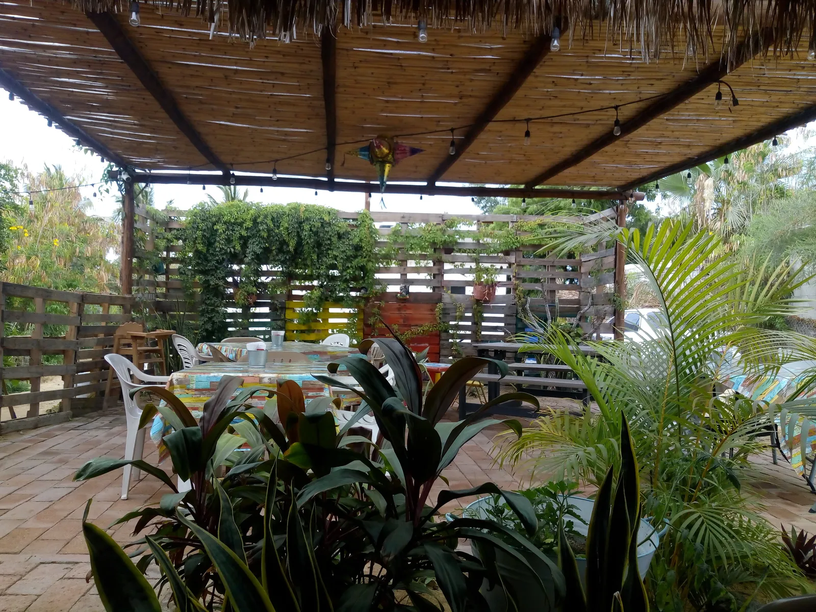 Cafe Maria image 1