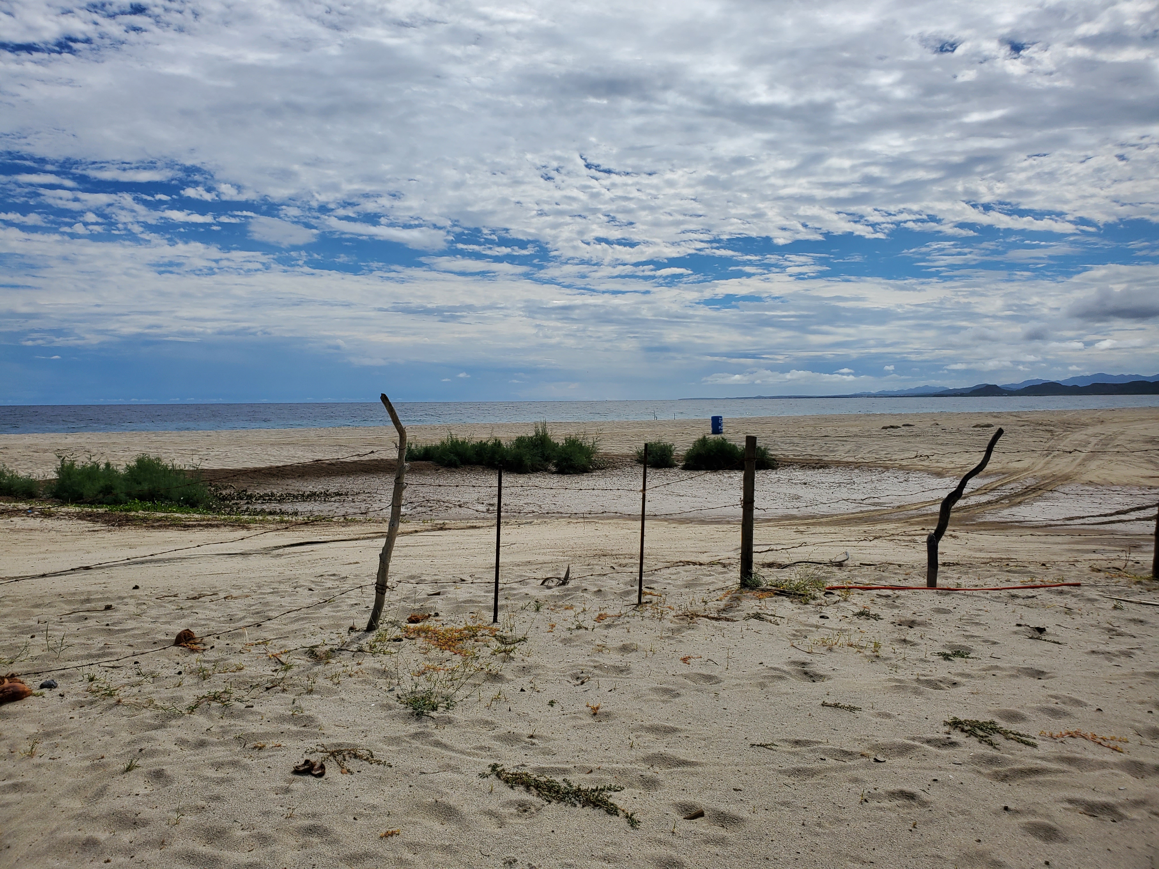 Lazy Daze Beach Bar image 9