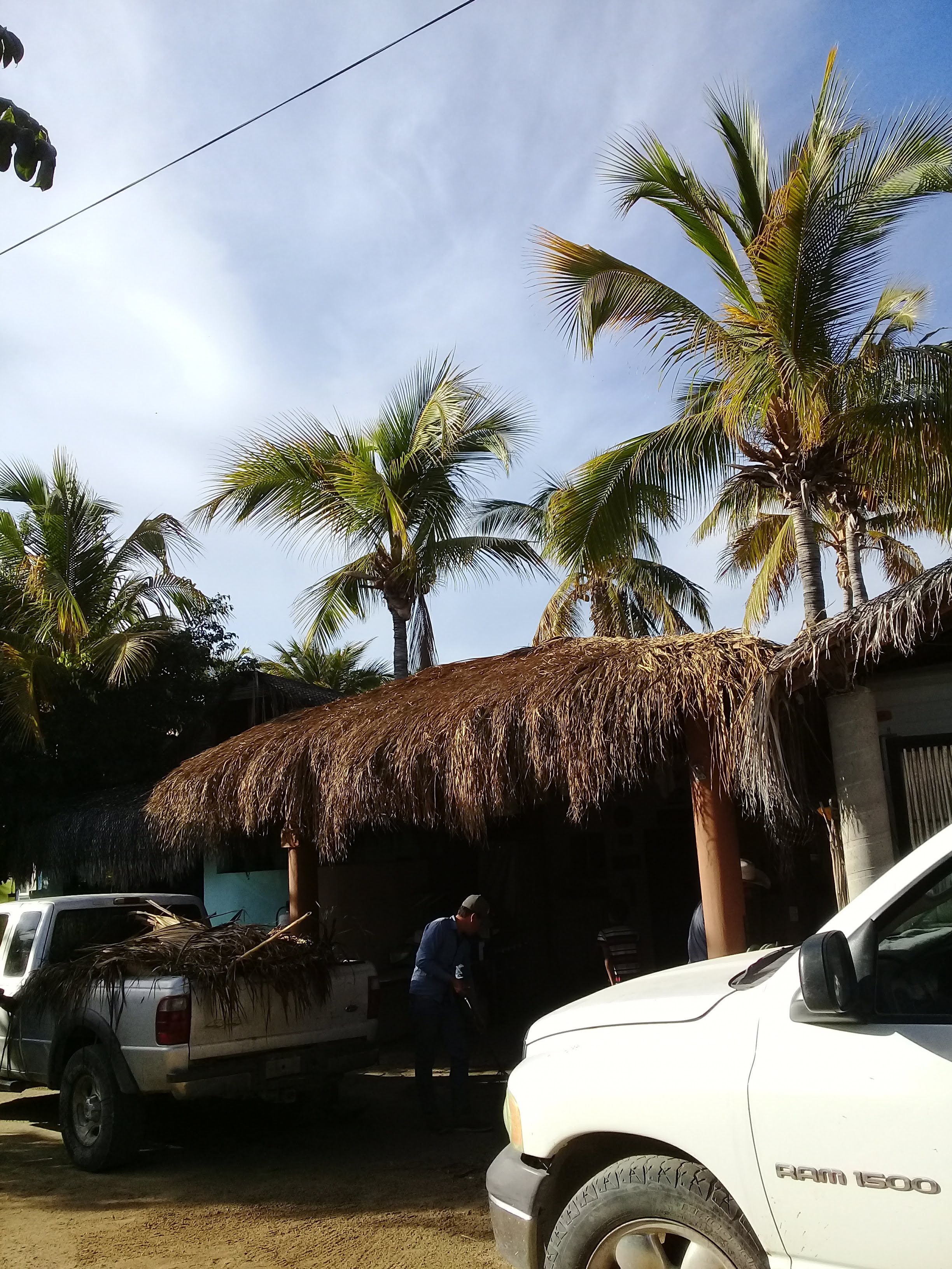 Taqueria Pelapapitas image 5