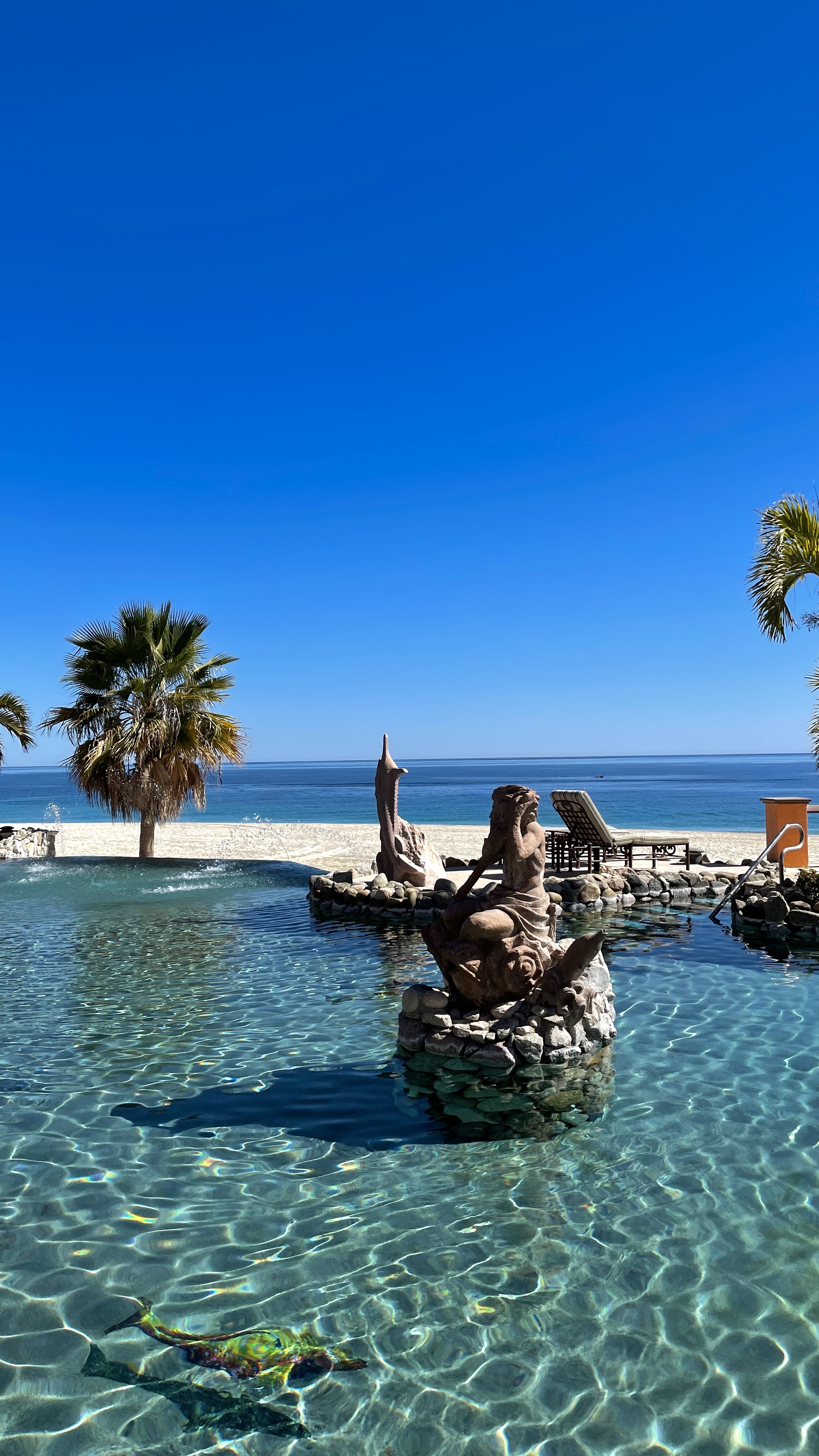 Umi Sushi Bar by Bay View image 2