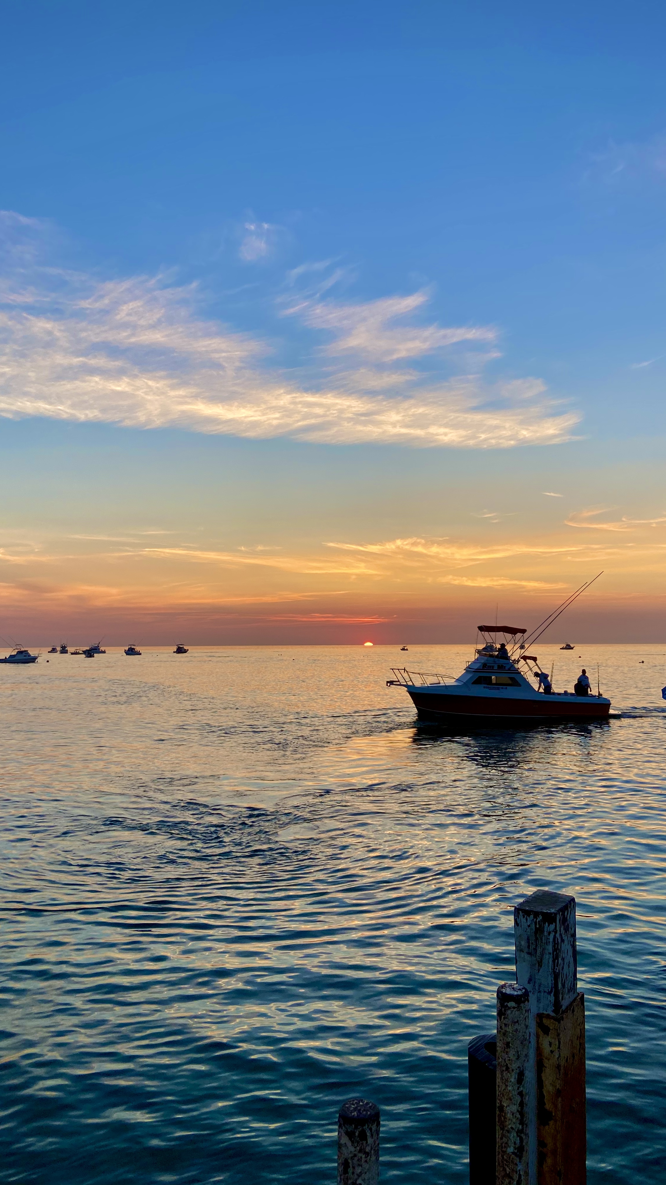 Umi Sushi Bar by Bay View image 3