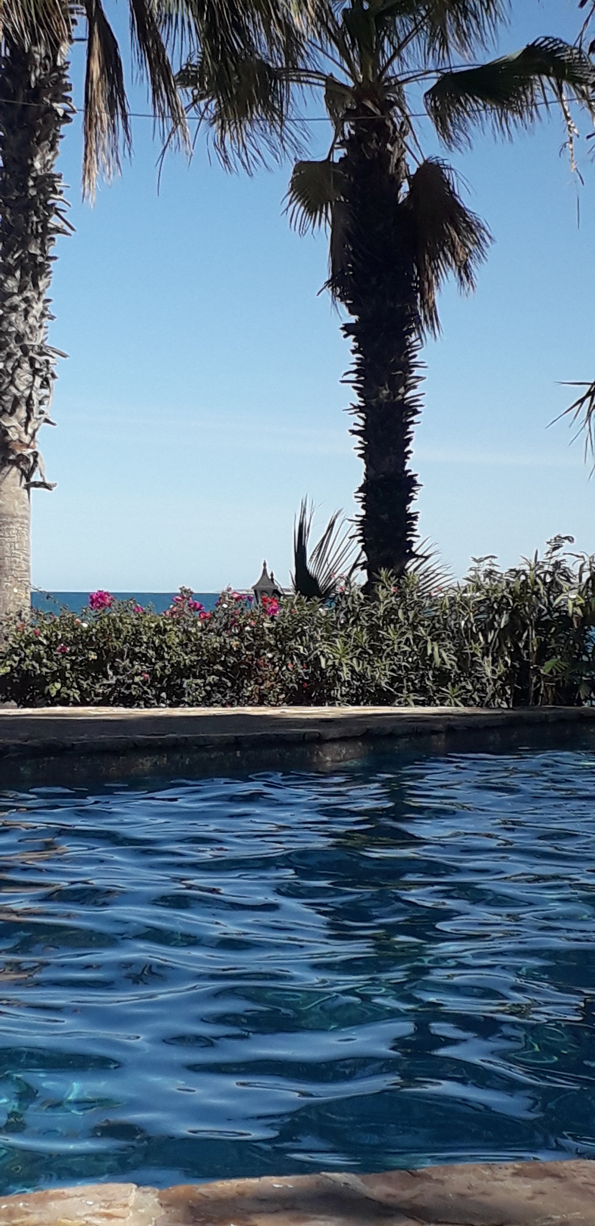 El Panzon Beach Club image 2