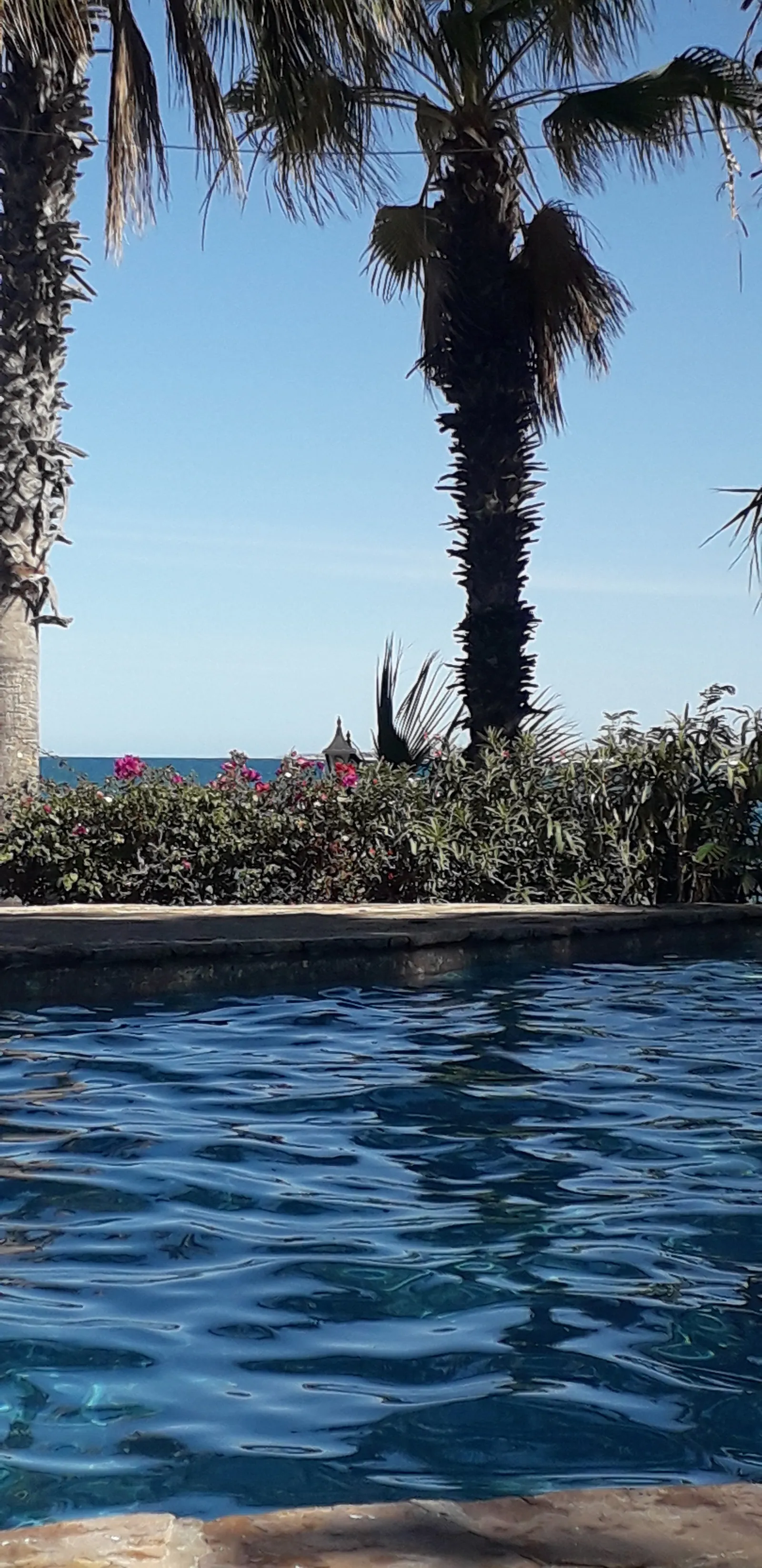 El Panzon Beach Club image 2