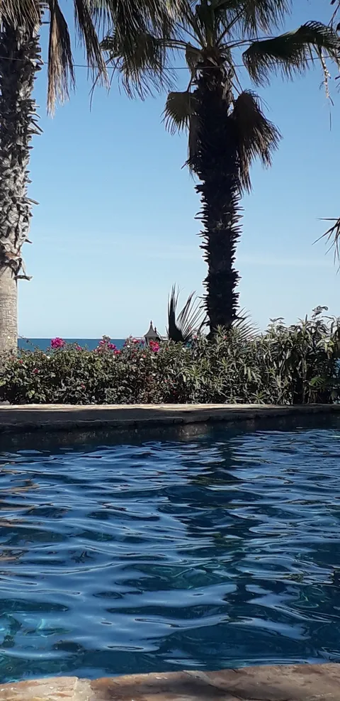 El Panzon Beach Club image 2