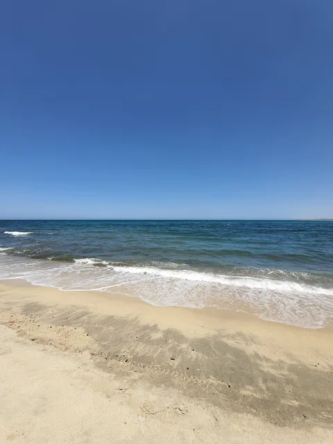 El Panzon Beach Club image 3