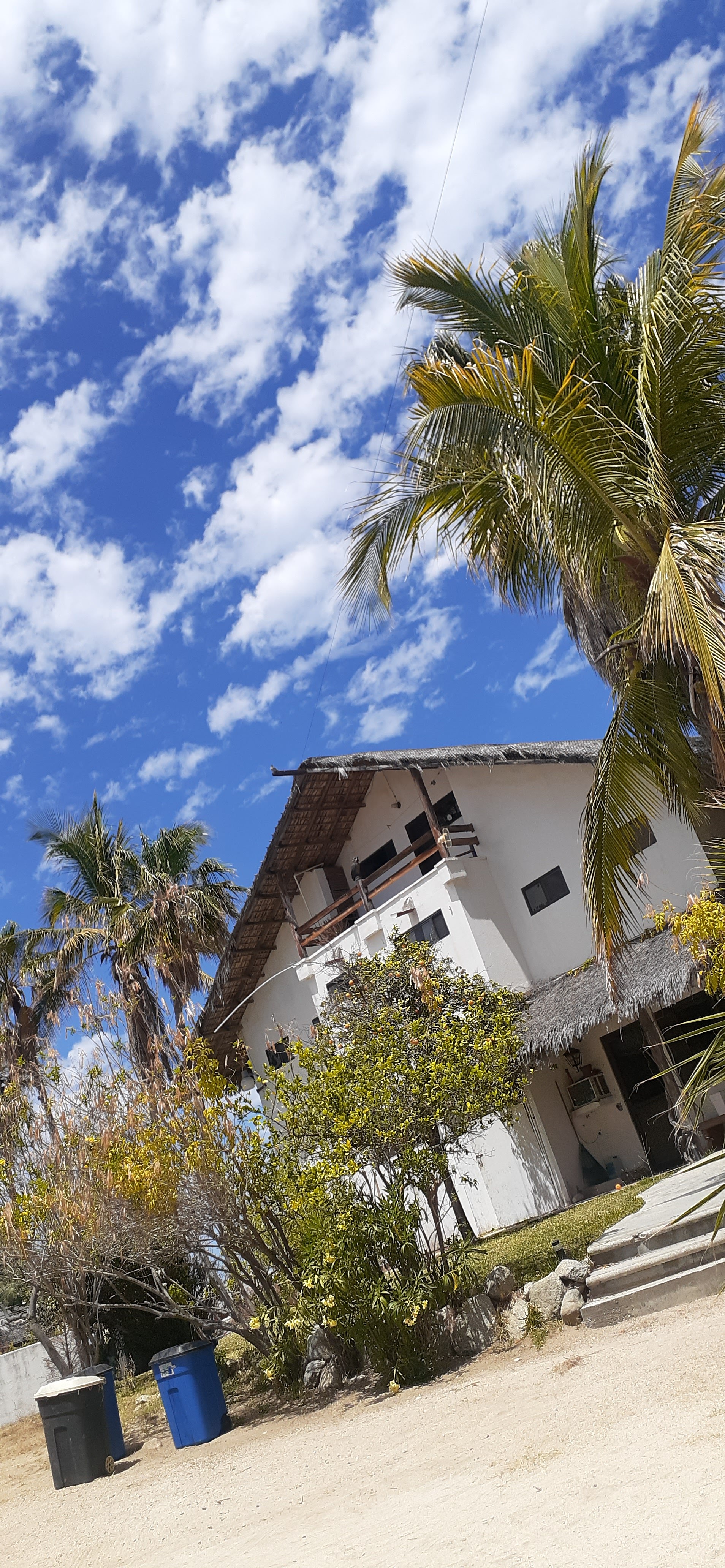 El Panzon Beach Club image 5