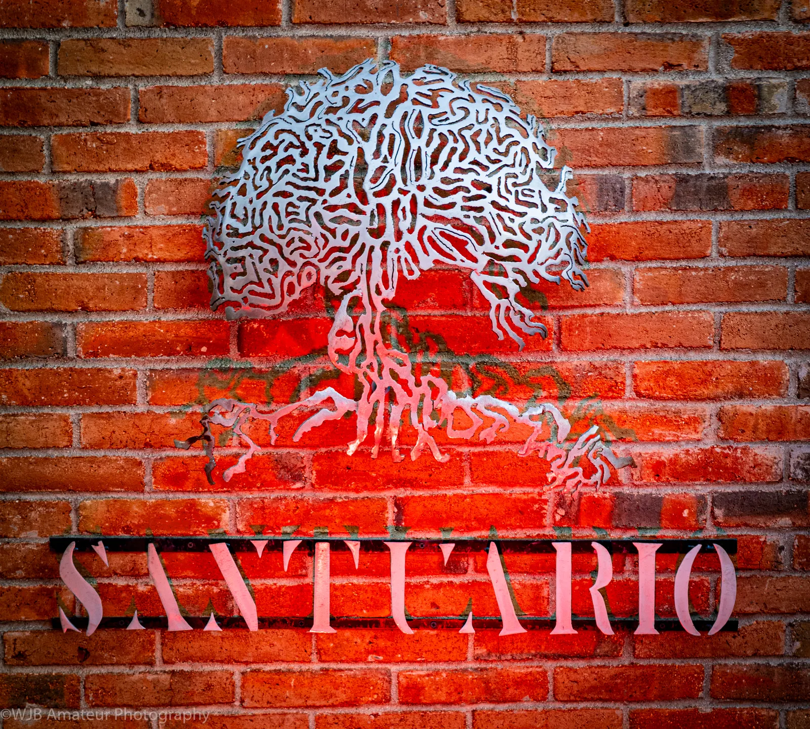 Santuario Los Barriles Firewood Kitchen image 3