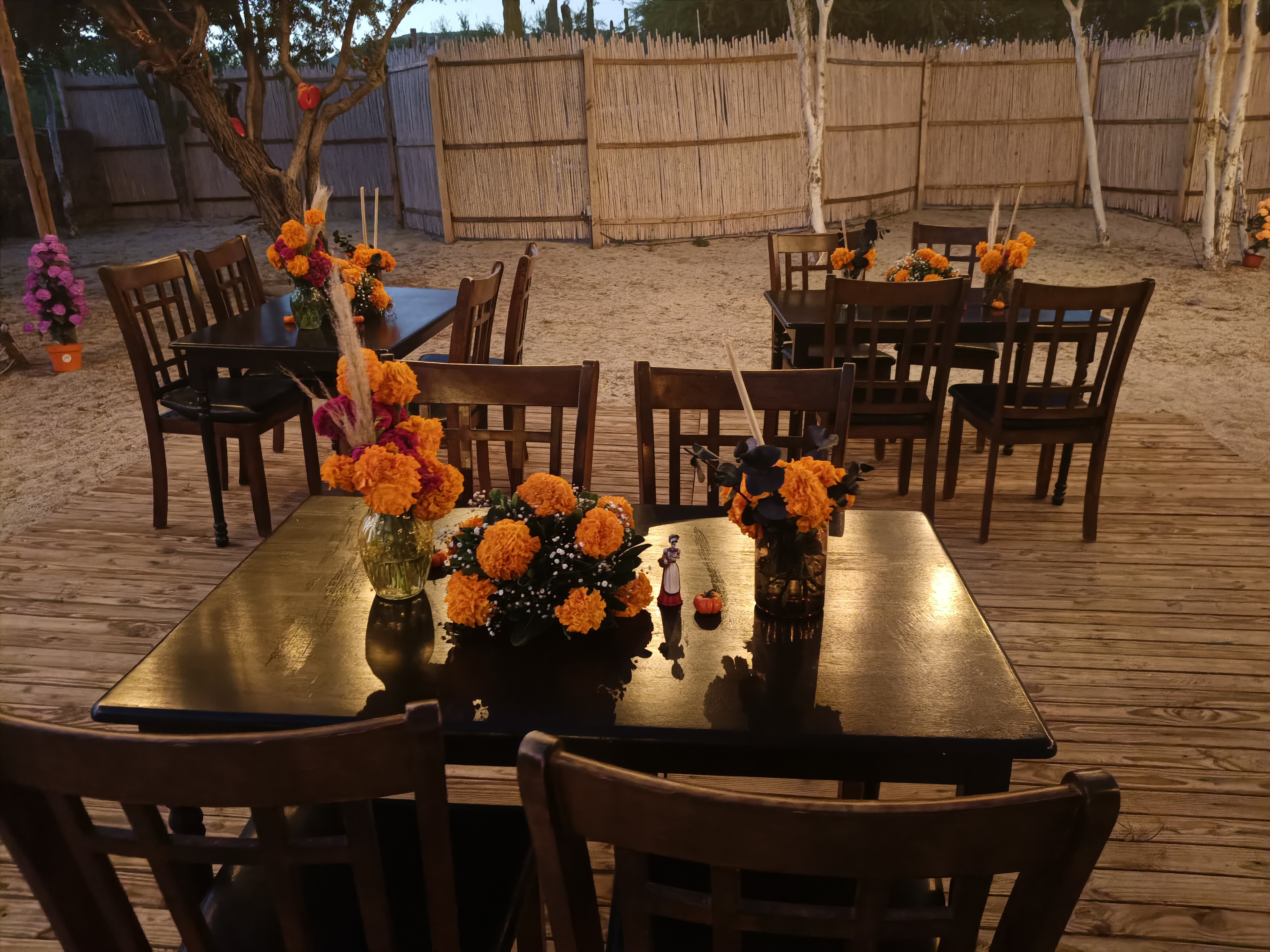 Santuario Los Barriles Firewood Kitchen image 7