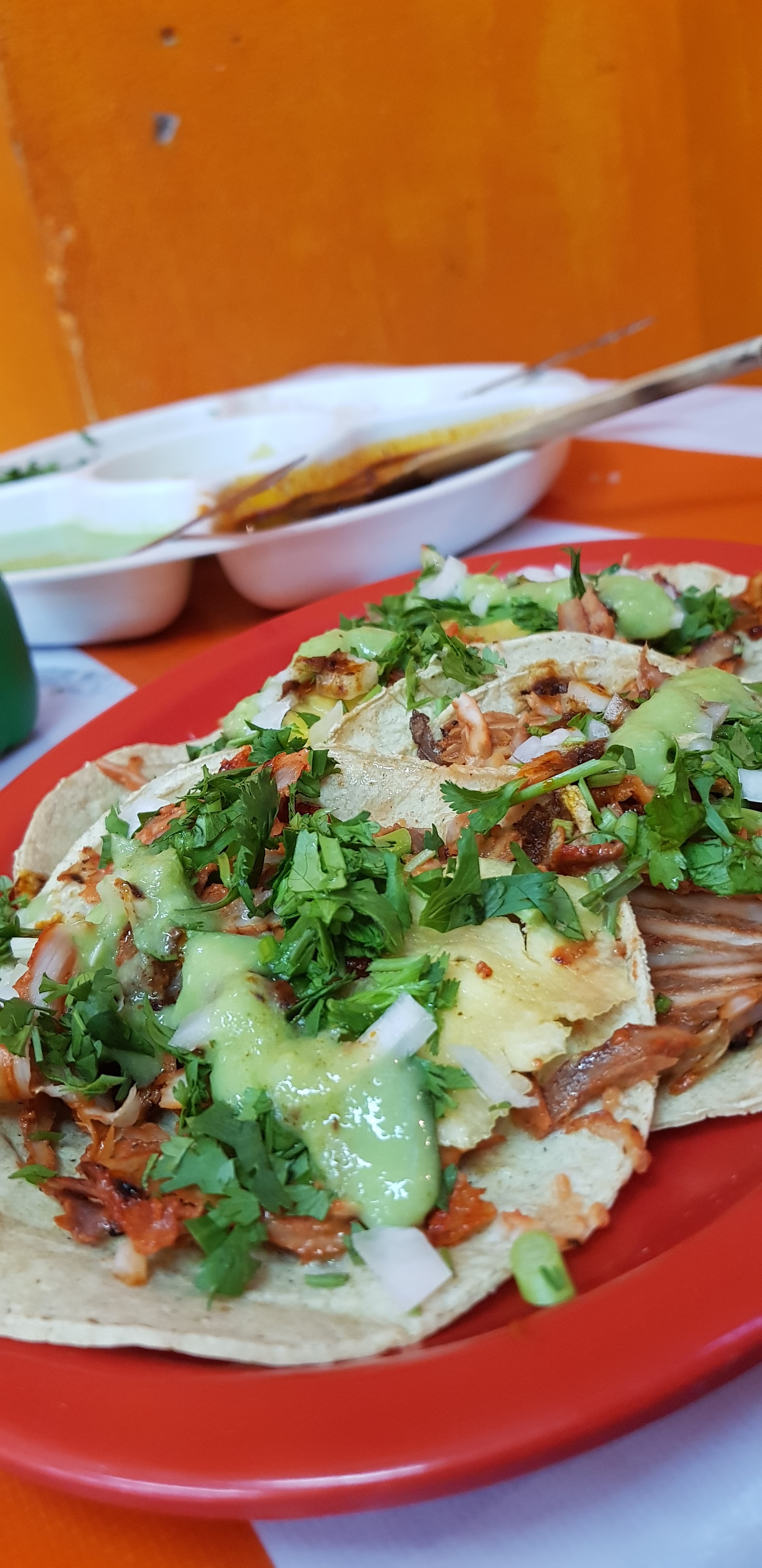 Tacos el Jarocho image 10