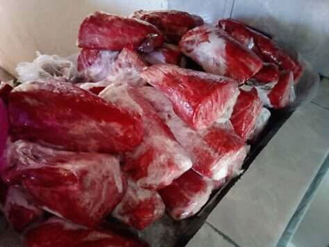 Pescaderia oceano pacifico image 4