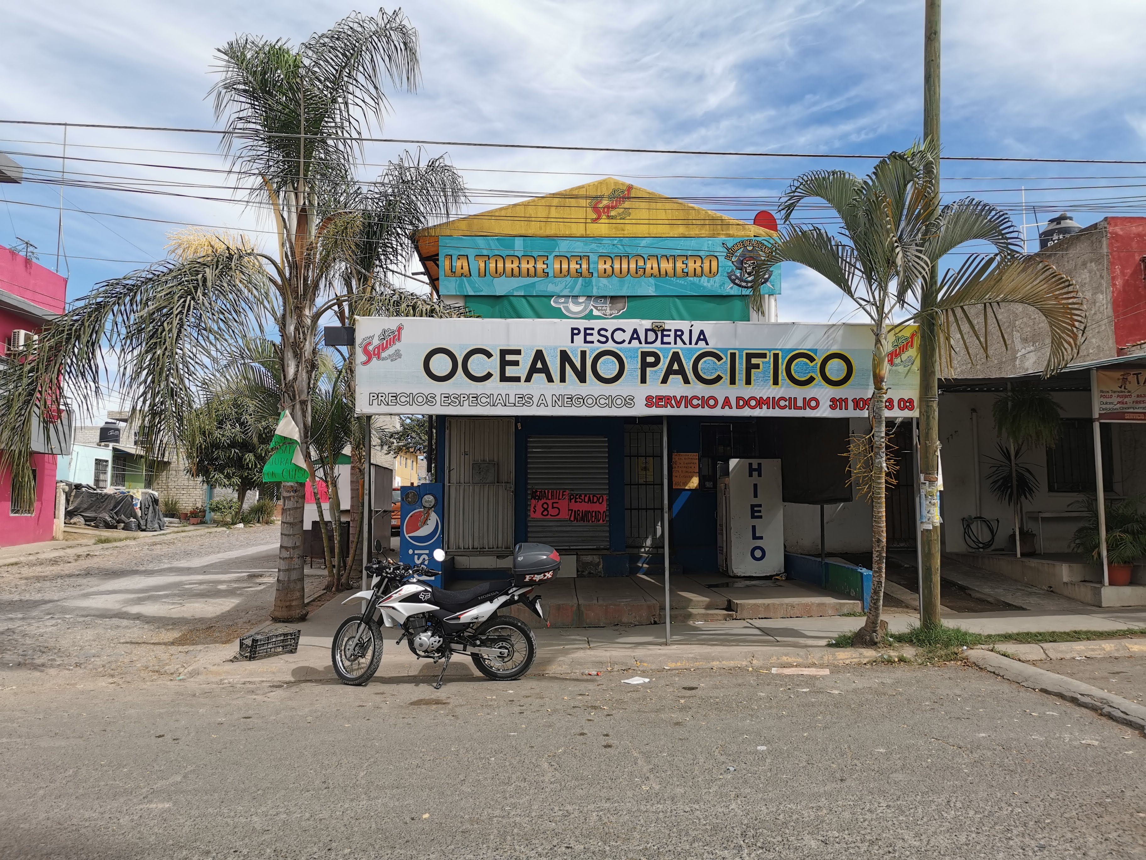Pescaderia oceano pacifico image 5