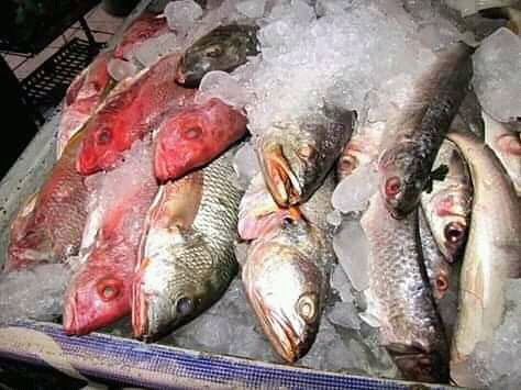 Pescaderia oceano pacifico image 10