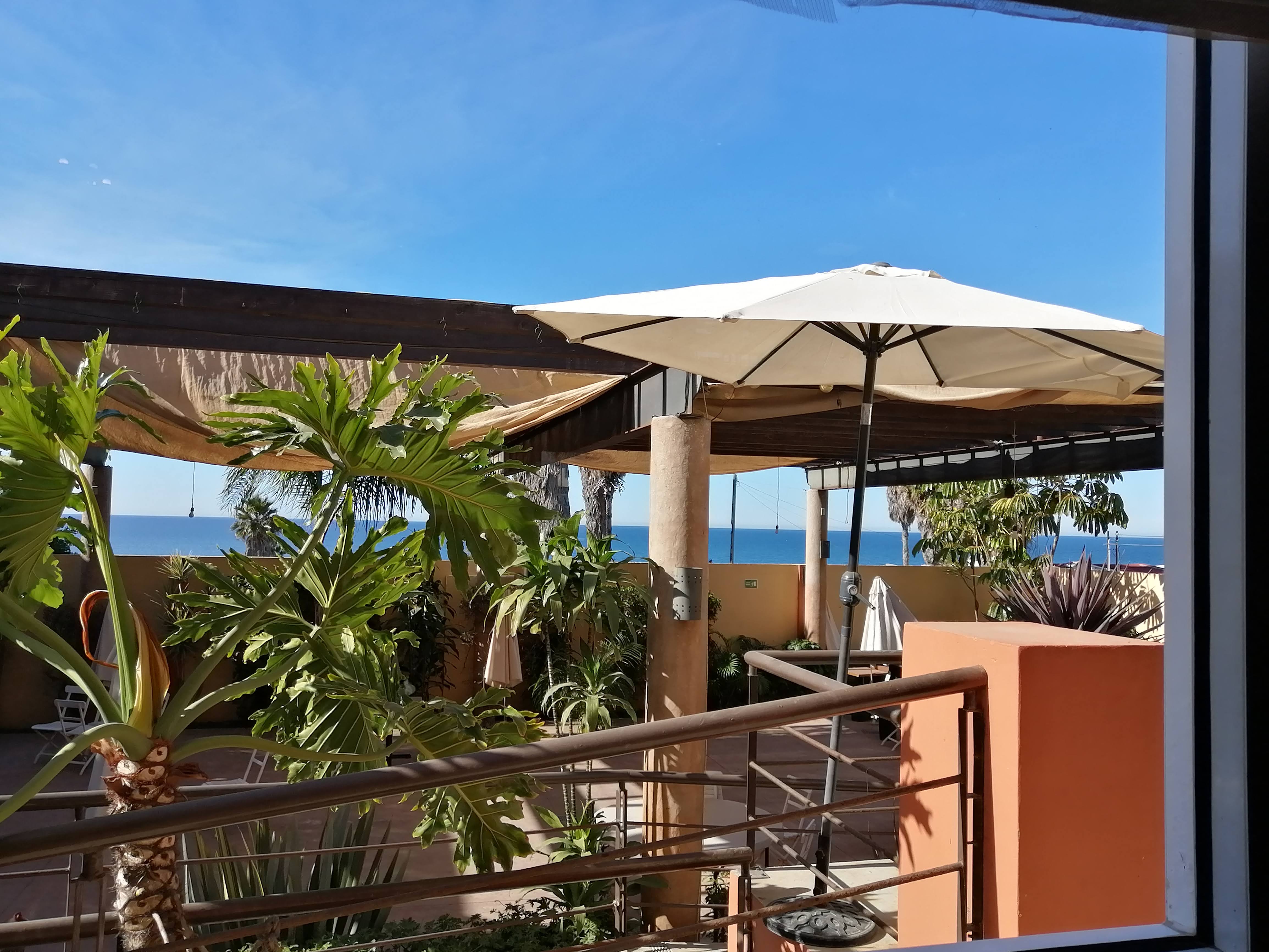 El Meson de Playas image 6