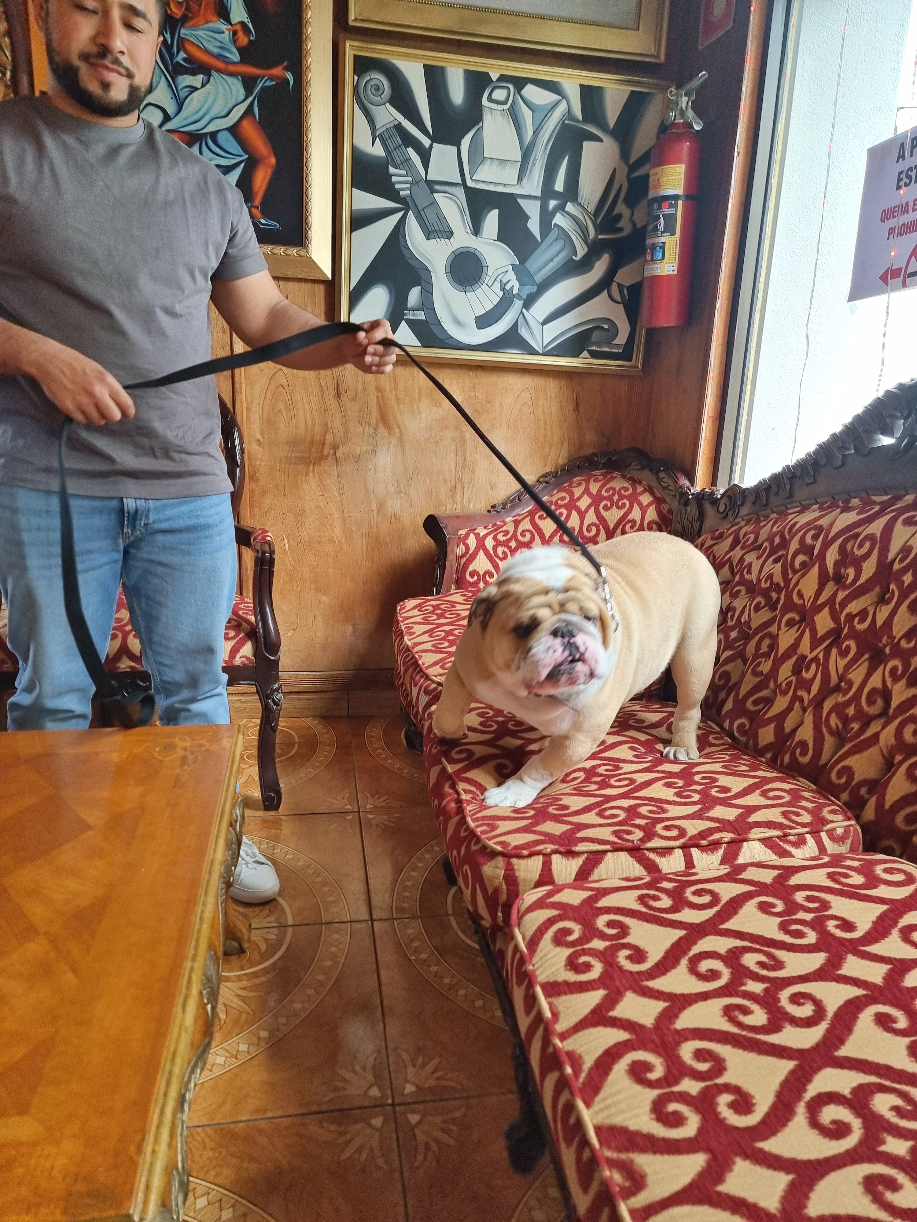 Habana Cafe Bar image 8