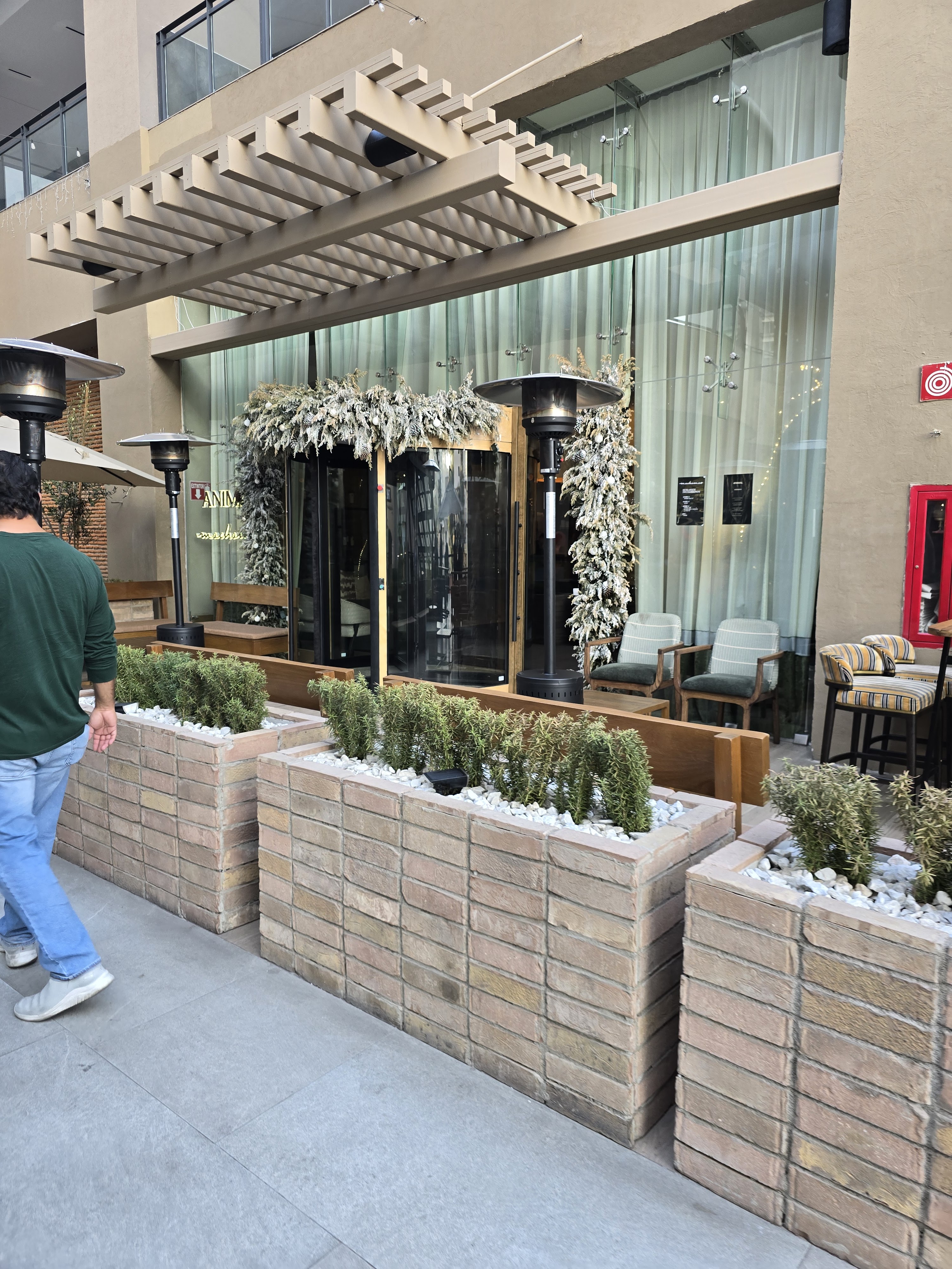 Mochomos Tijuana image 1