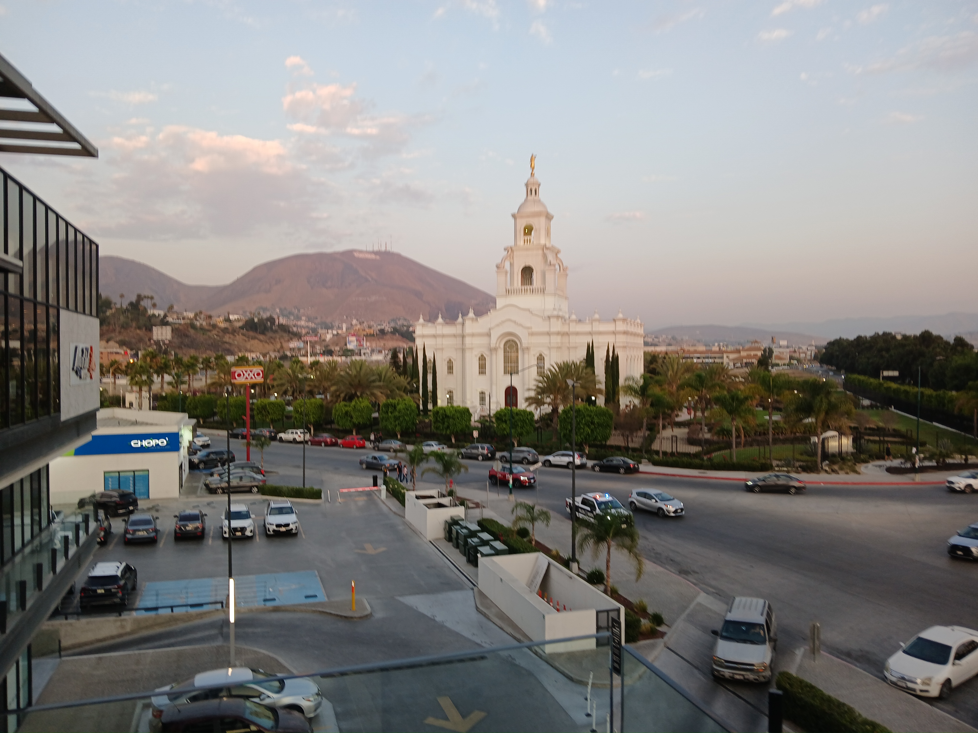 Lion Fish - La Terraza image 3