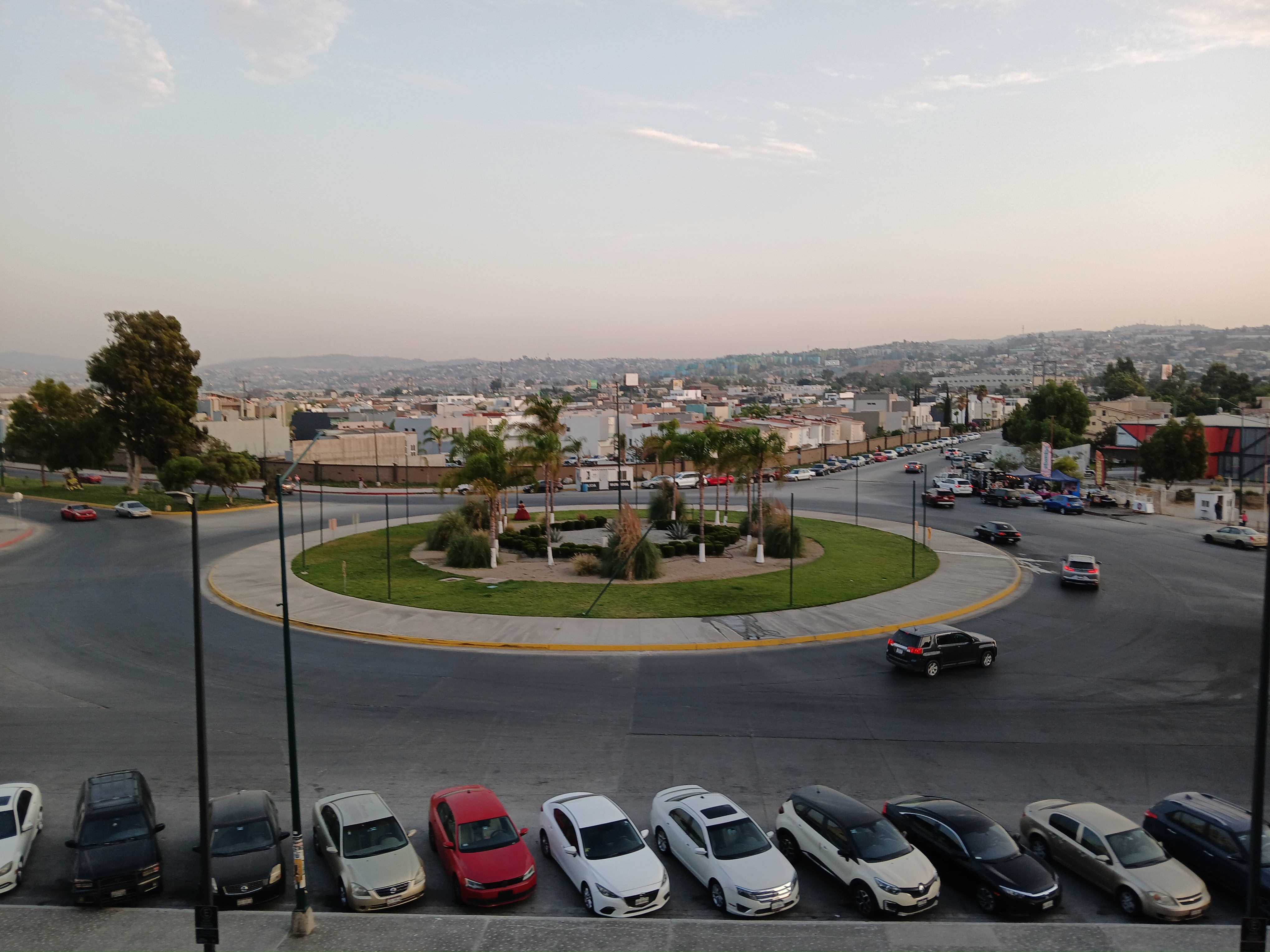 Lion Fish - La Terraza image 6