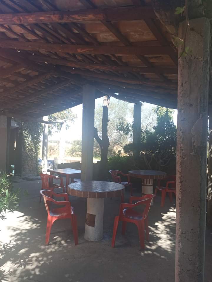 Los Arbolitos image 5