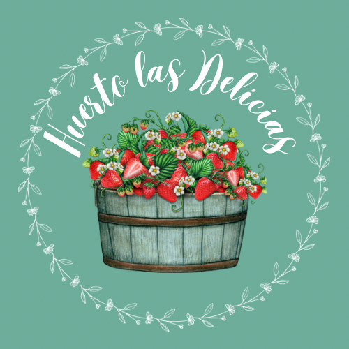 Huerto las delicias image 9