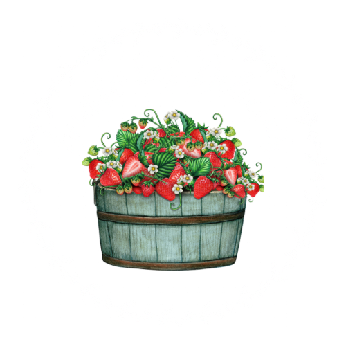 Huerto las delicias image 10