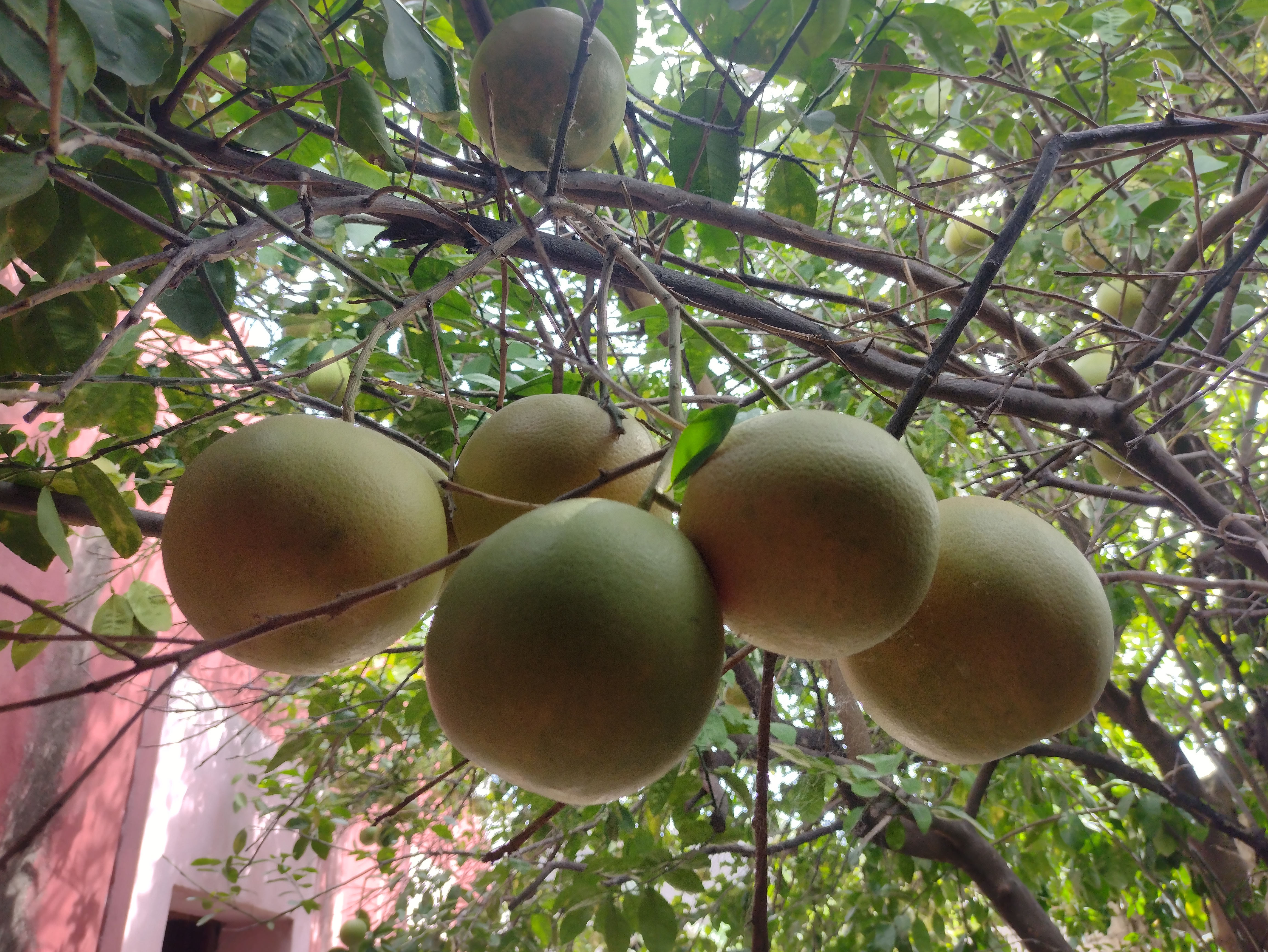 Restauran Mely image 10