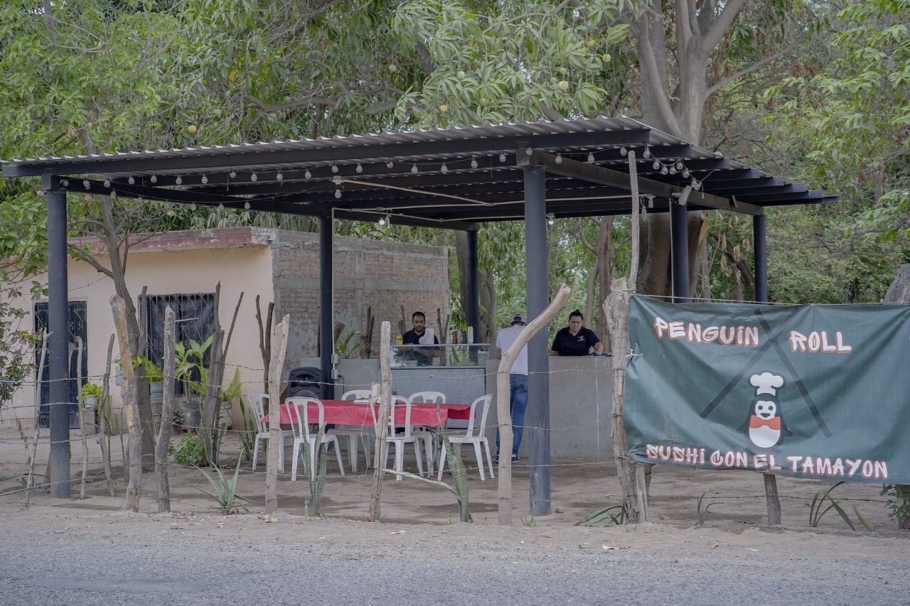 Penguinroll con el tamayon image 2