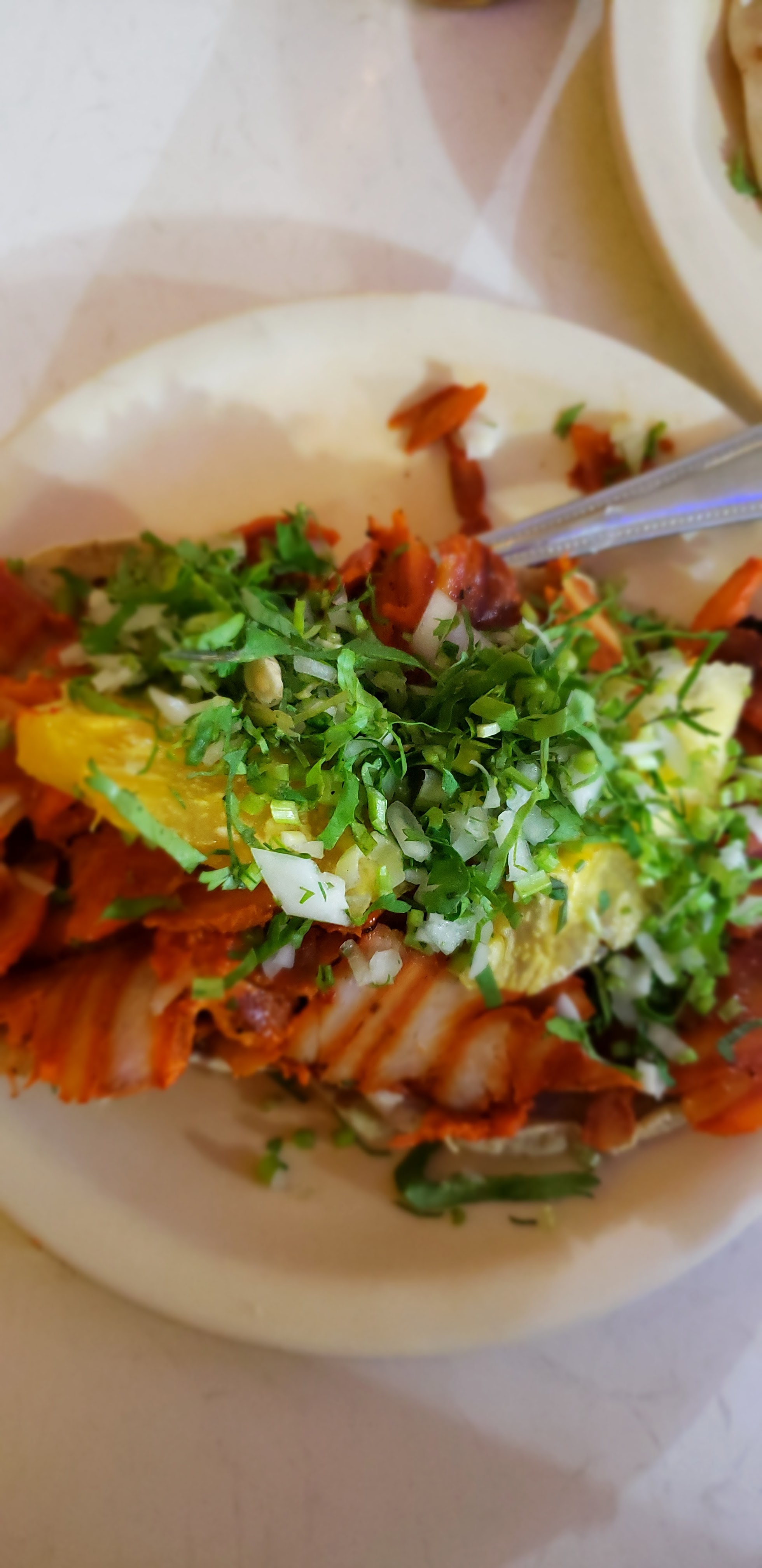 Taqueria El Pastorcito image 5