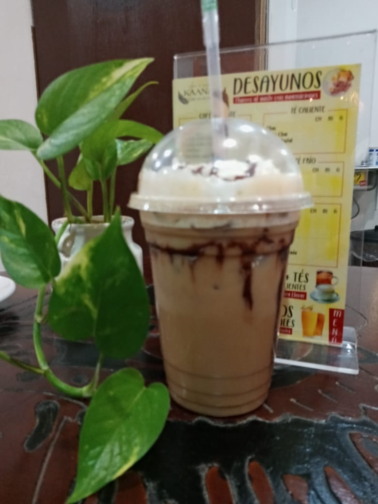 Cafetería, Snack y Jardín Kaanak image 9