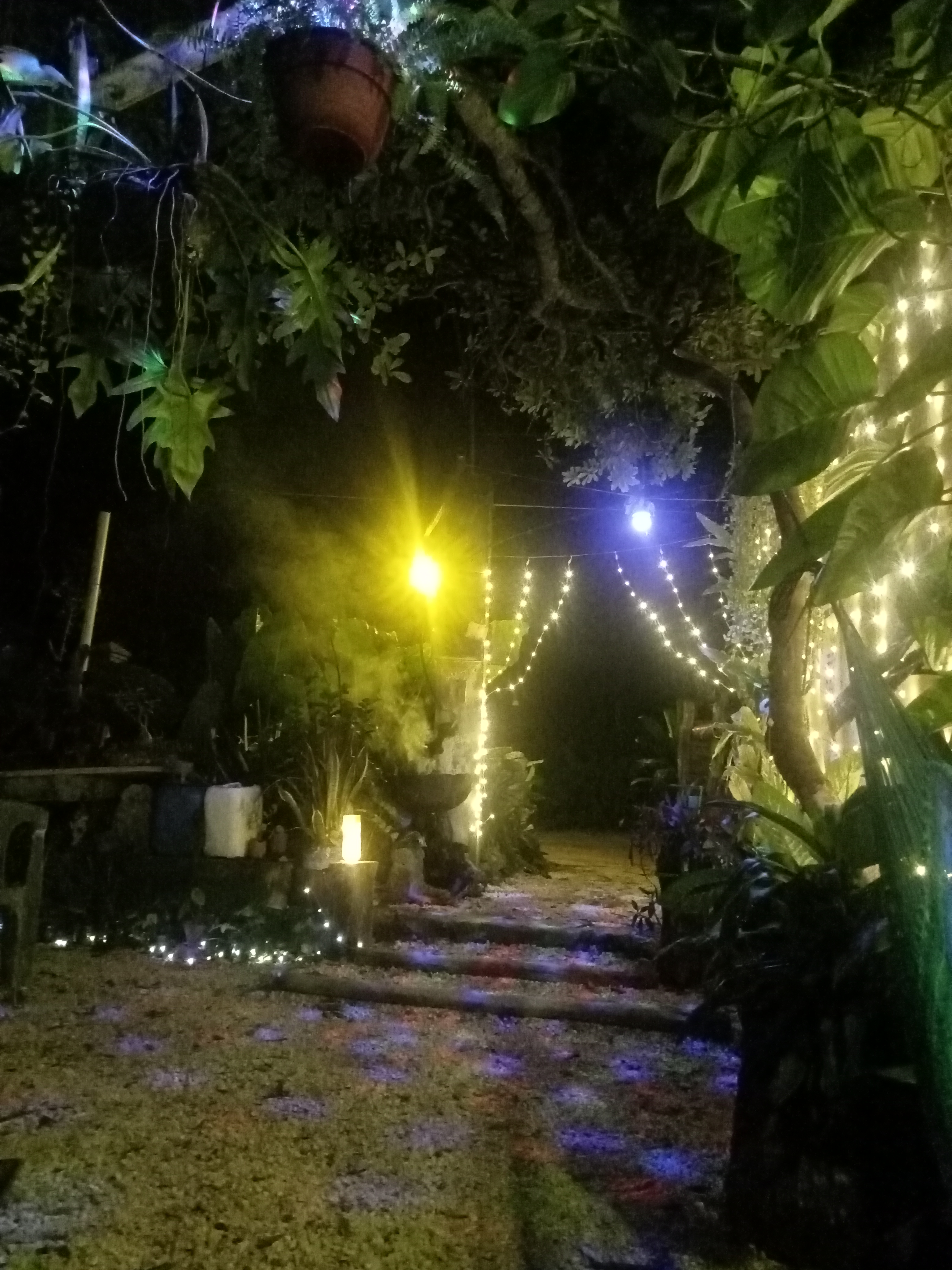 pizzería San Román image 8