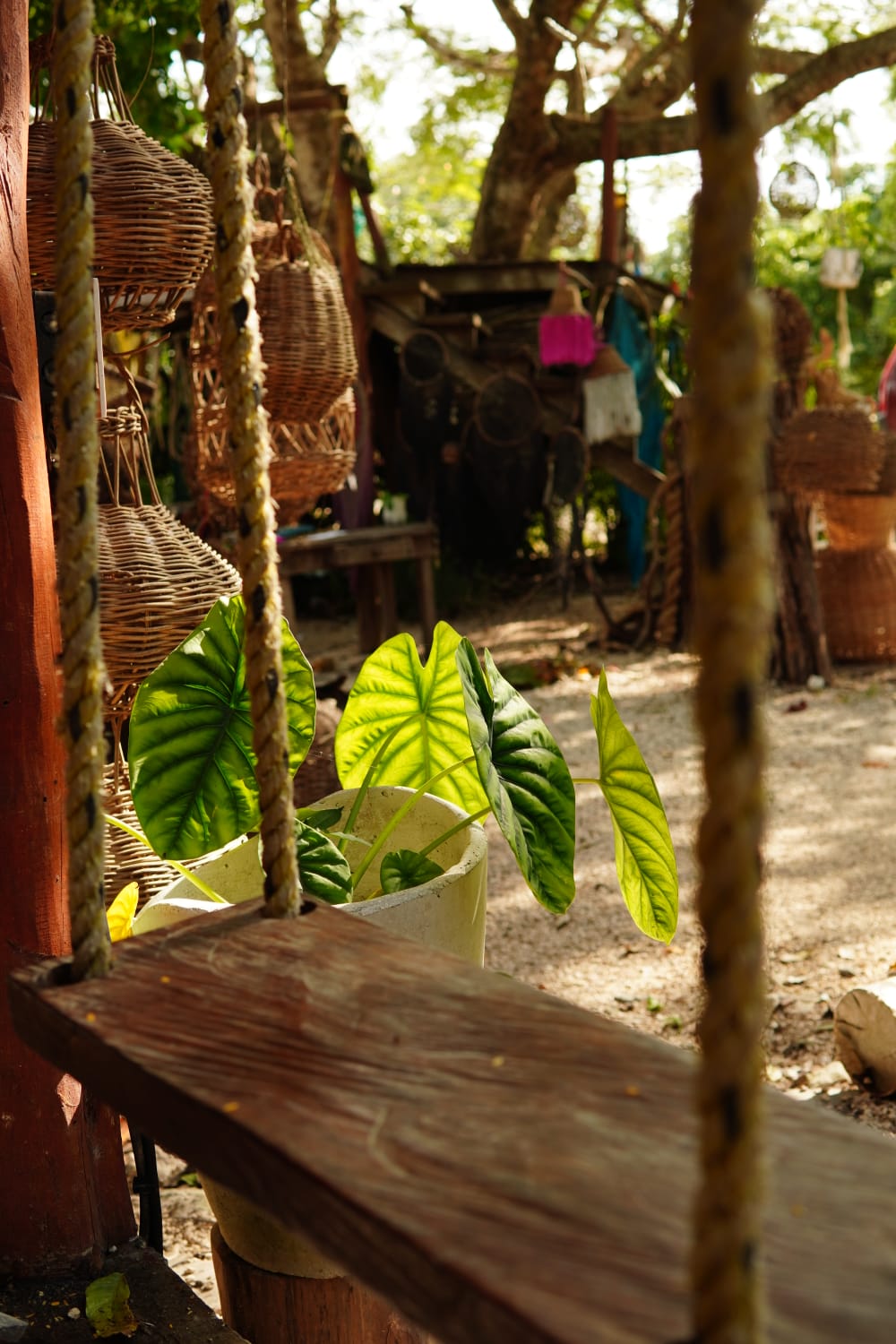 Framboyán Grill Restaurante image 10