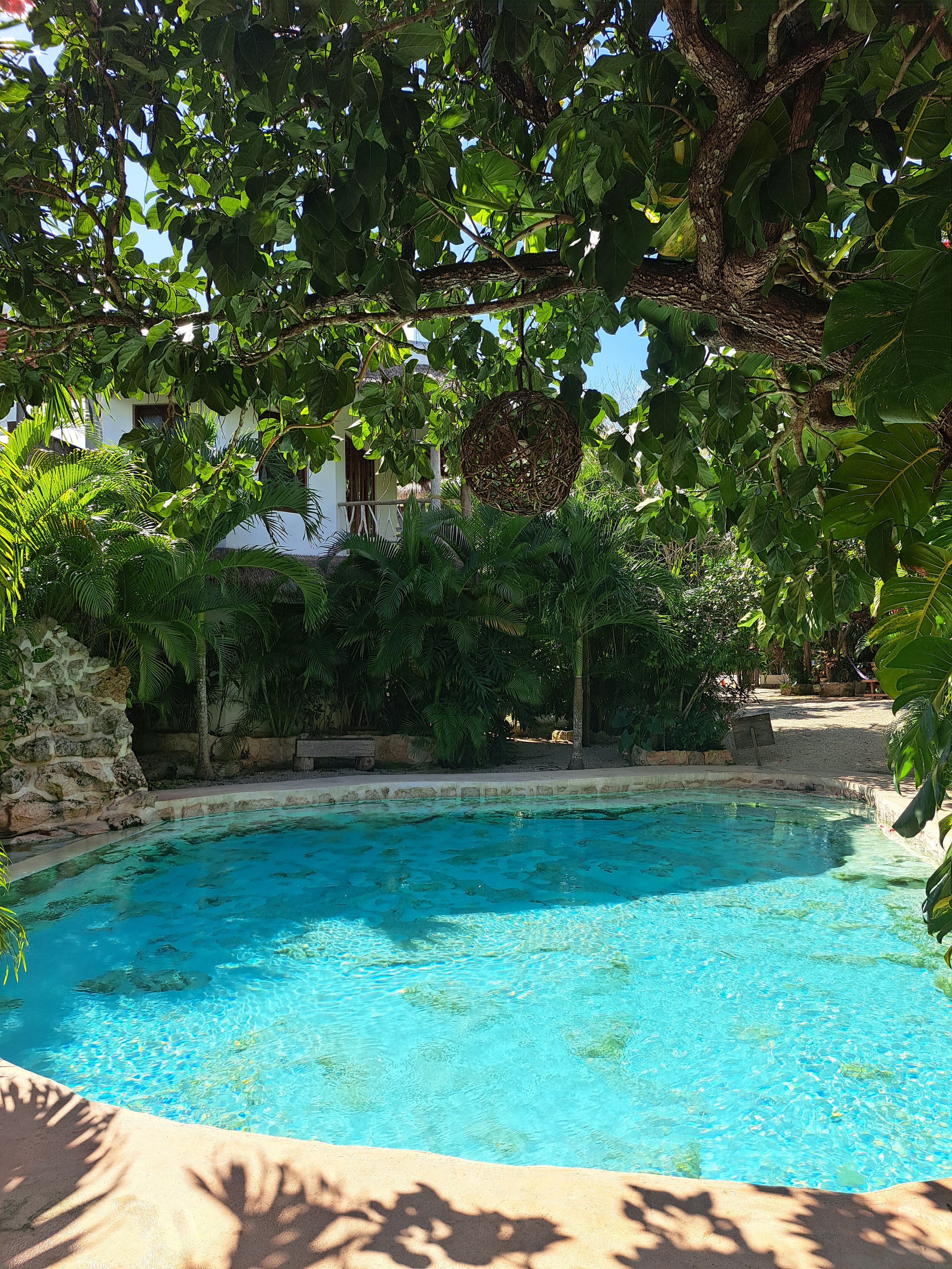 Restaurante Bugambilias image 6