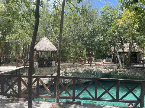 Restaurante Petirrojo Tulum image 7
