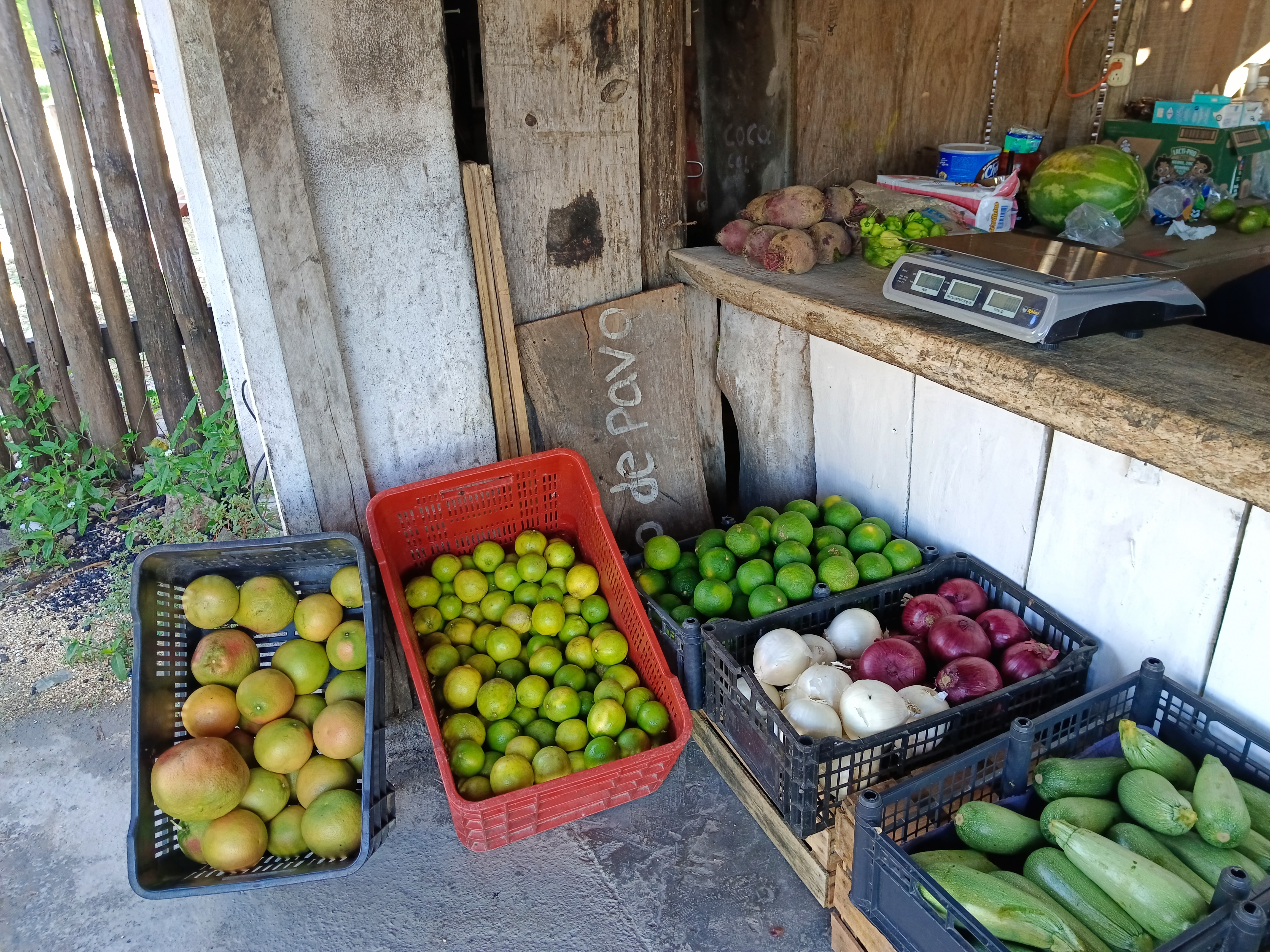Restaurante las palmitas image 1